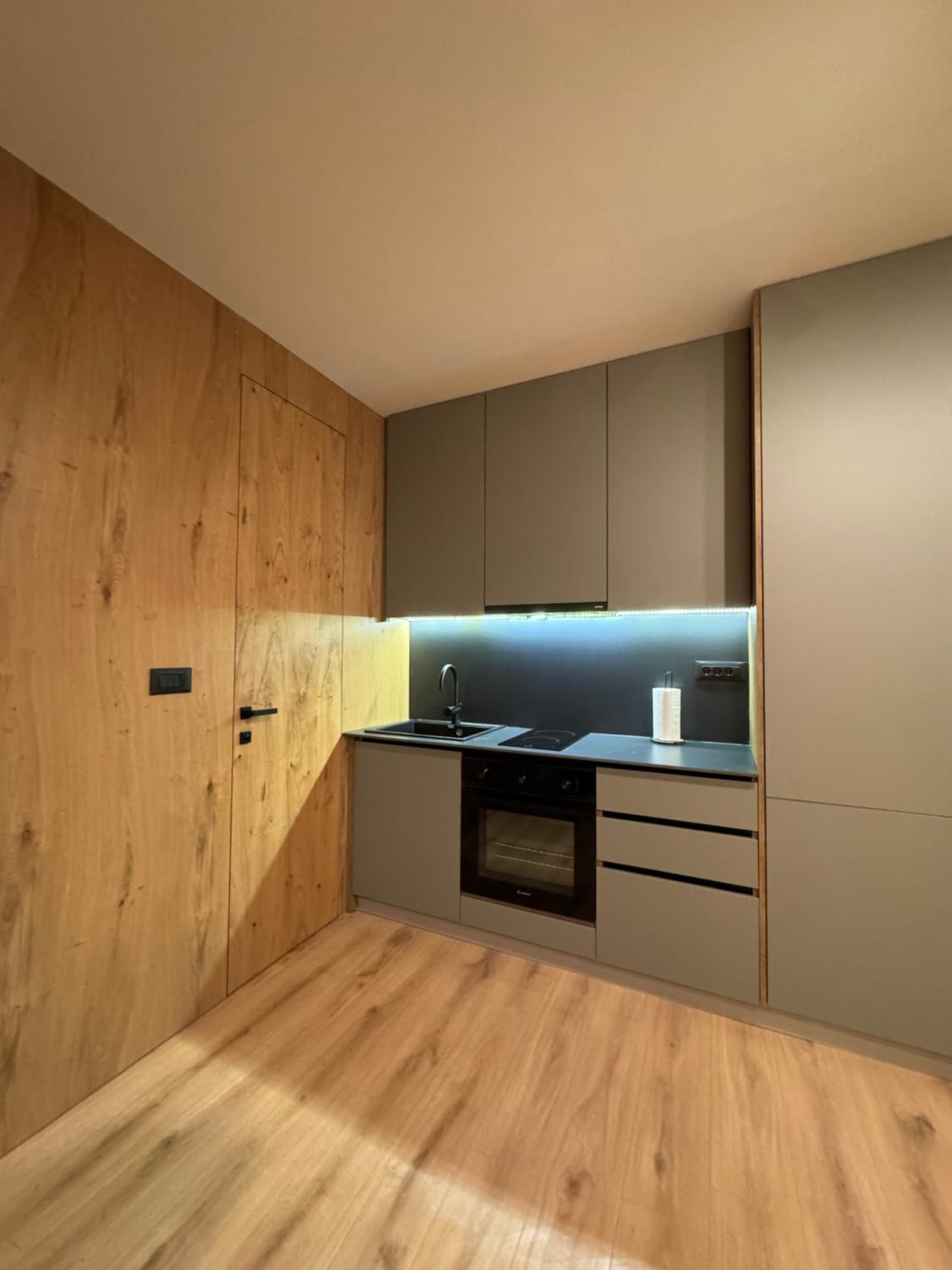 One-Bedroom Apartment photo 2