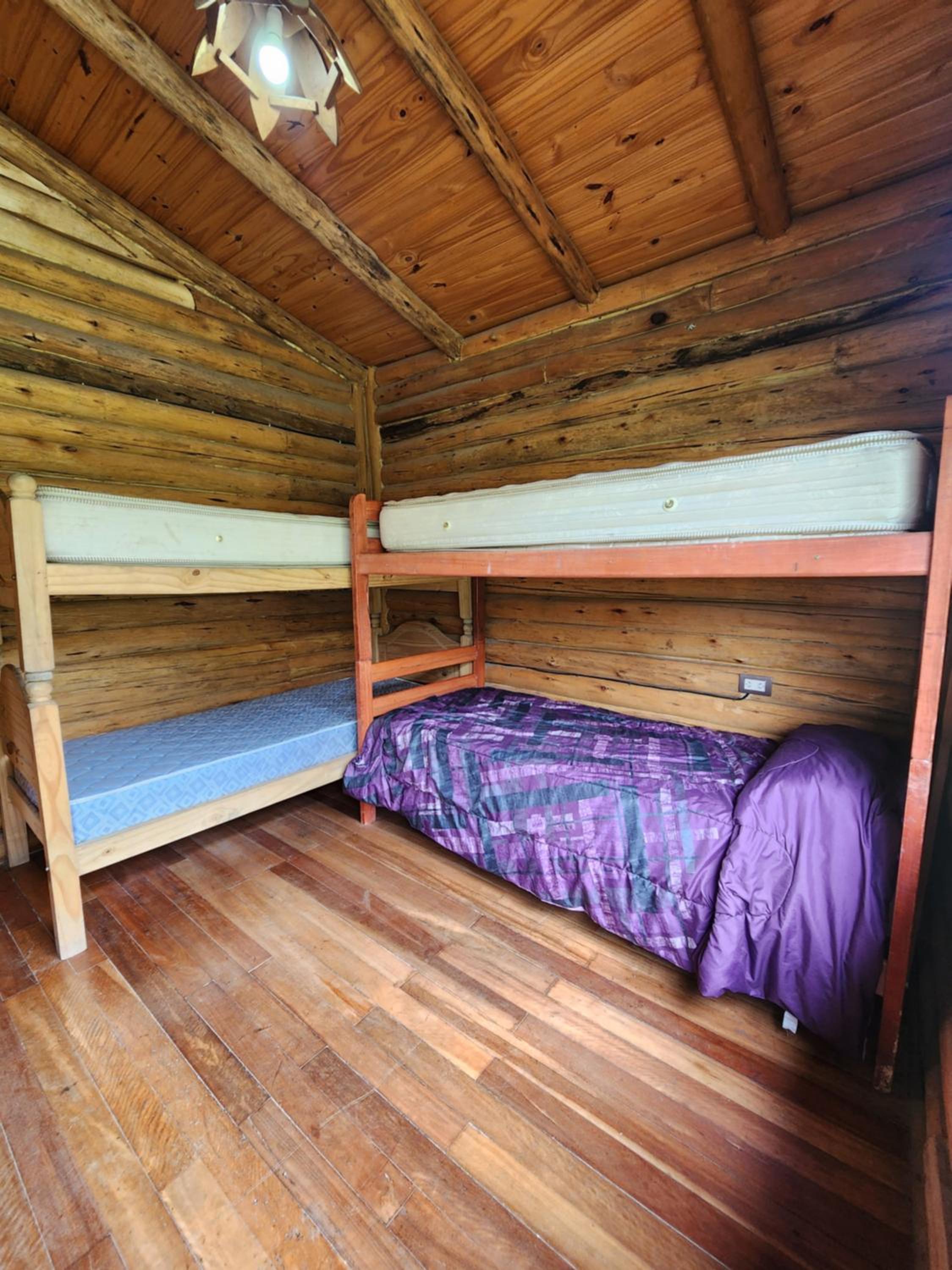 Three-Bedroom House photo 3