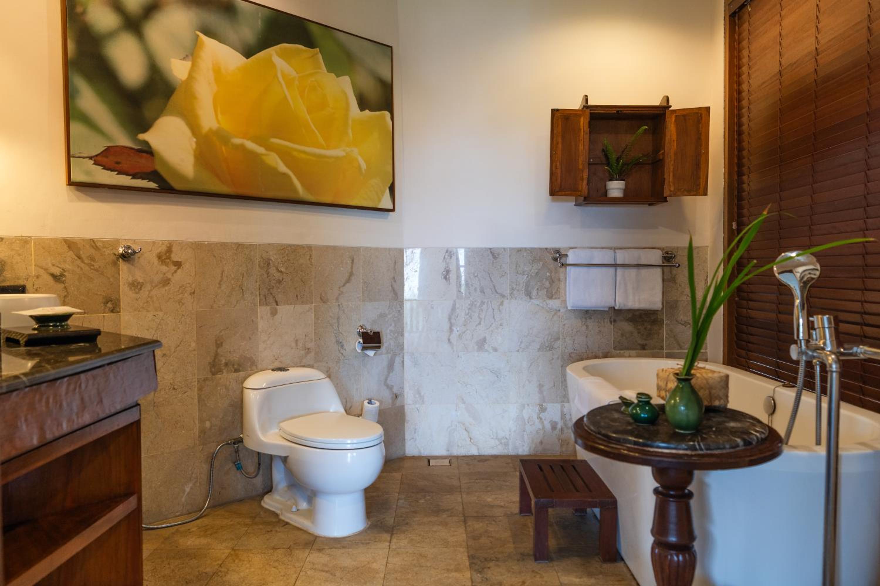 Suite with Valley View - Photo 3