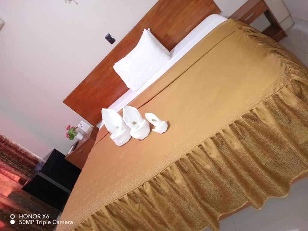Standard Double Room photo 1