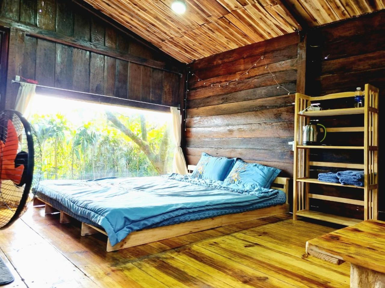 One-Bedroom Bungalow photo 3