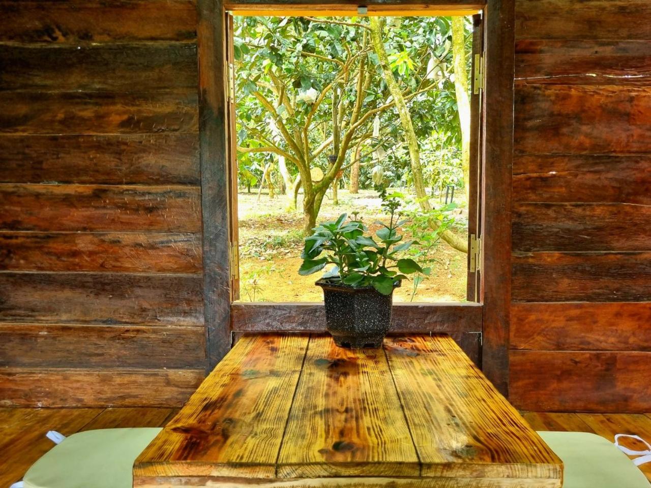 Bungalow photo 3