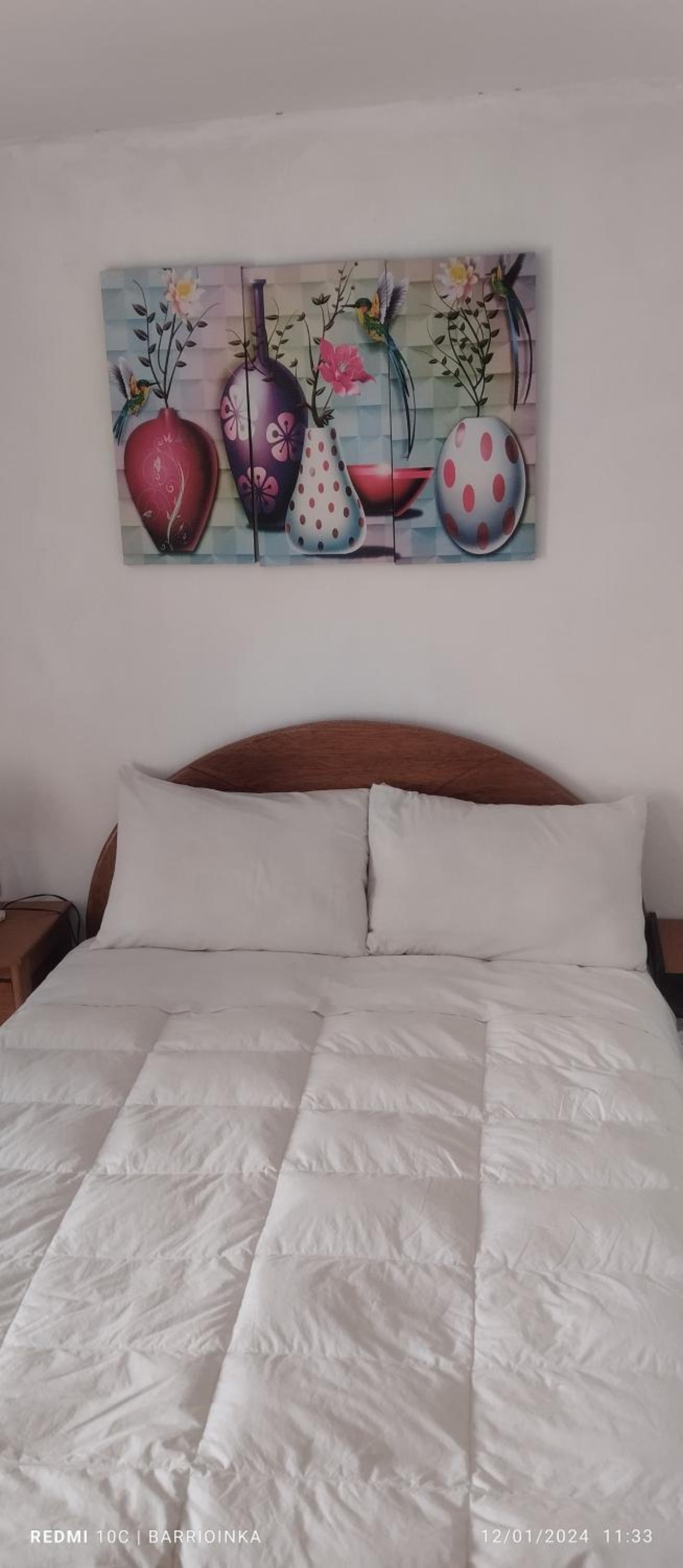 Superior Double Room photo 2