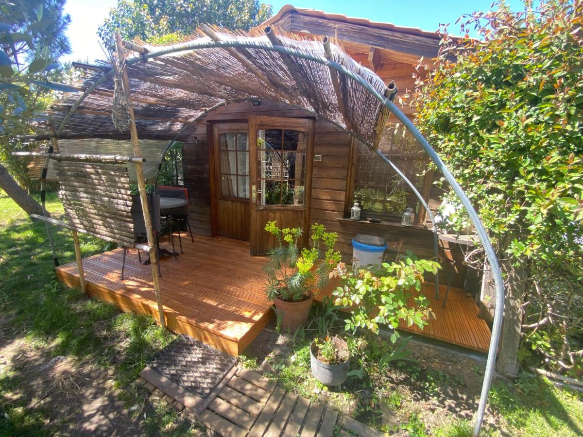 Double Room with Terrace photo 3