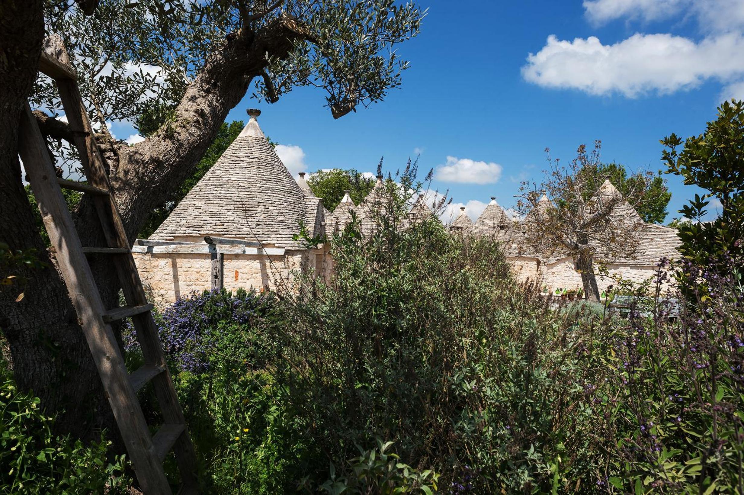 Trullo (2 Adults) photo 2