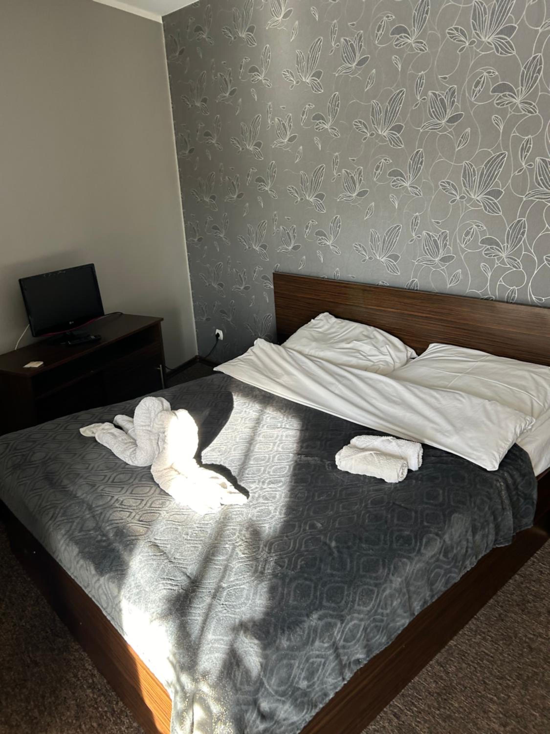 Suite photo 1