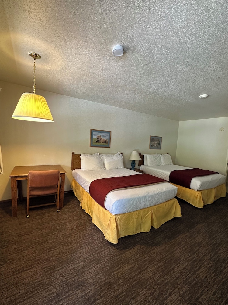 Basic Double Room