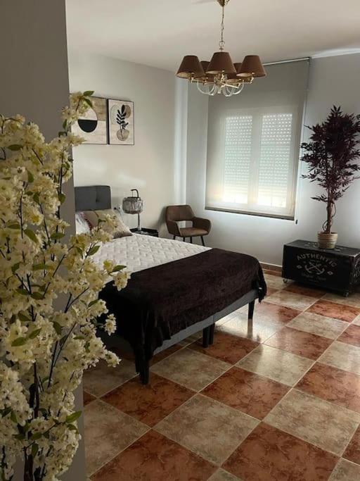 Apartamento Superior de Tres Habitaciones