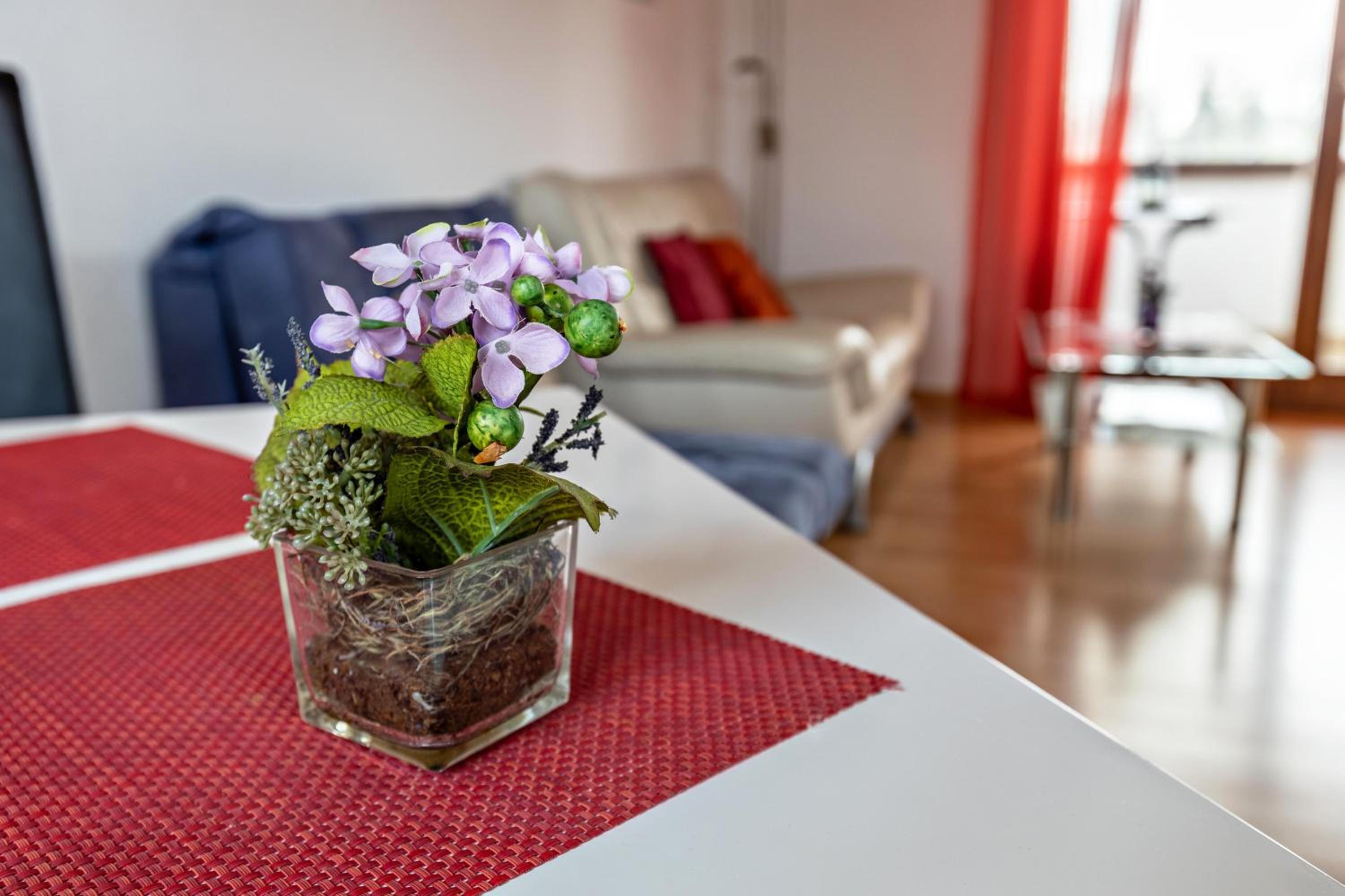 Superior One-Bedroom Apartment with Balcony photo 3
