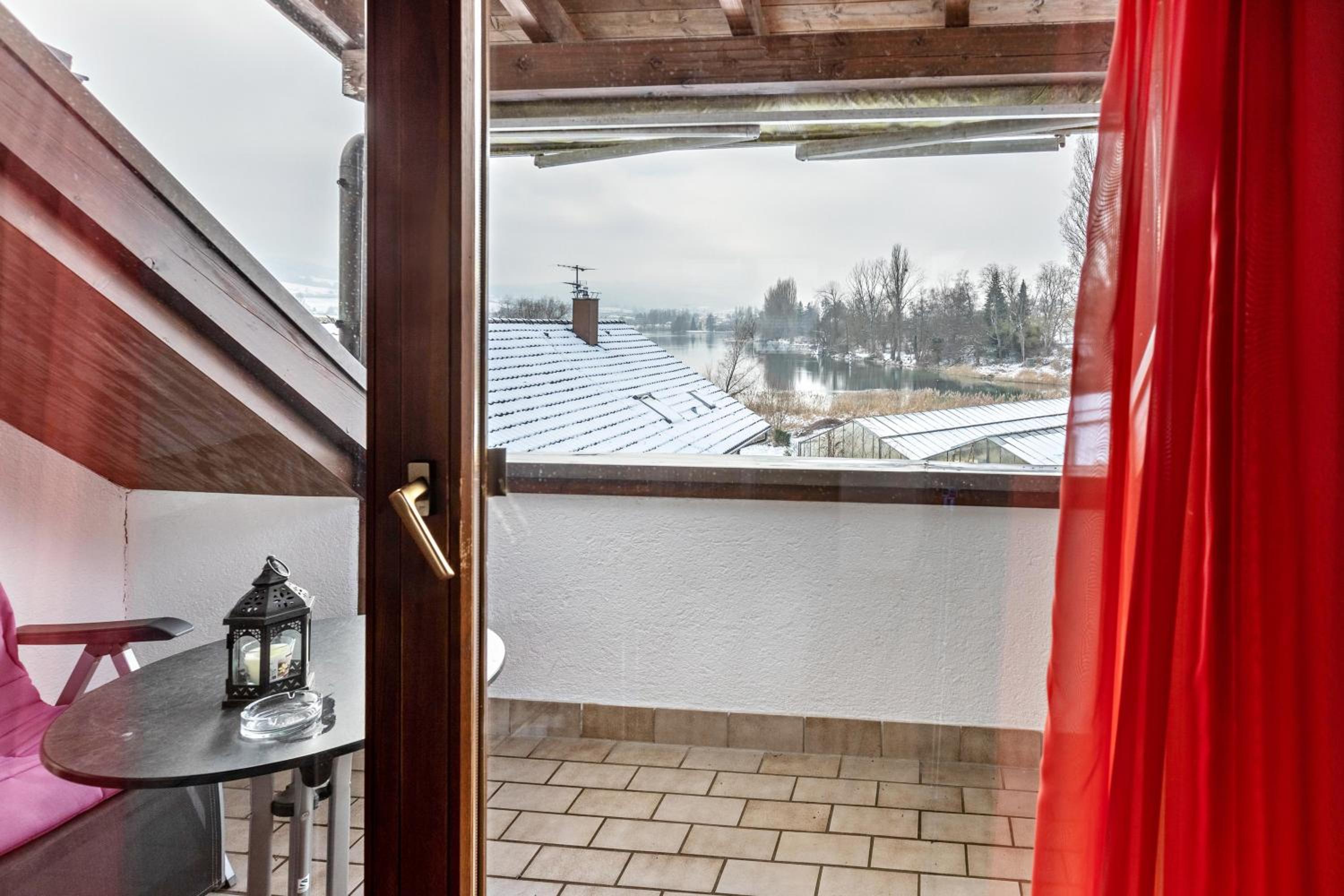 Superior One-Bedroom Apartment with Balcony photo 3