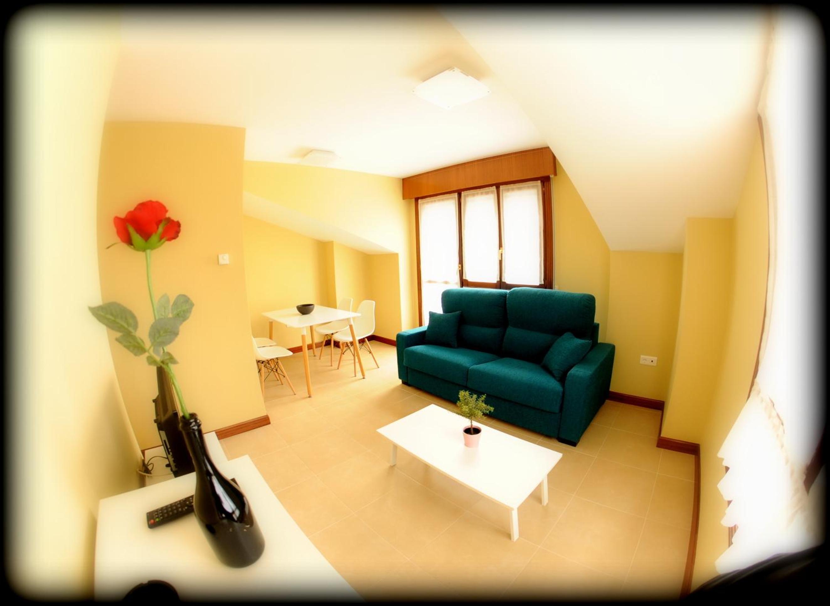 One-Bedroom Apartment photo 3