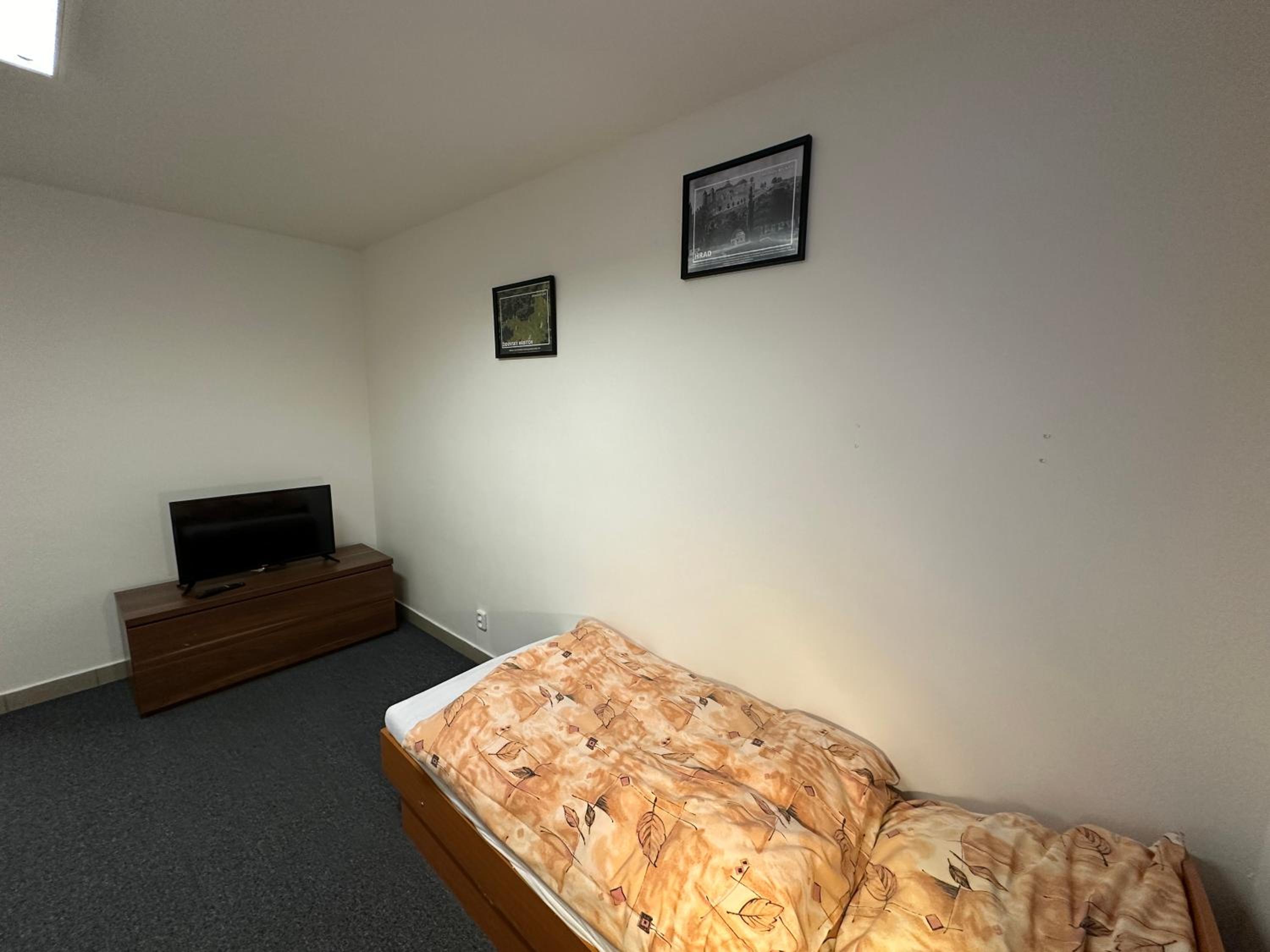 One-Bedroom Apartment photo 3