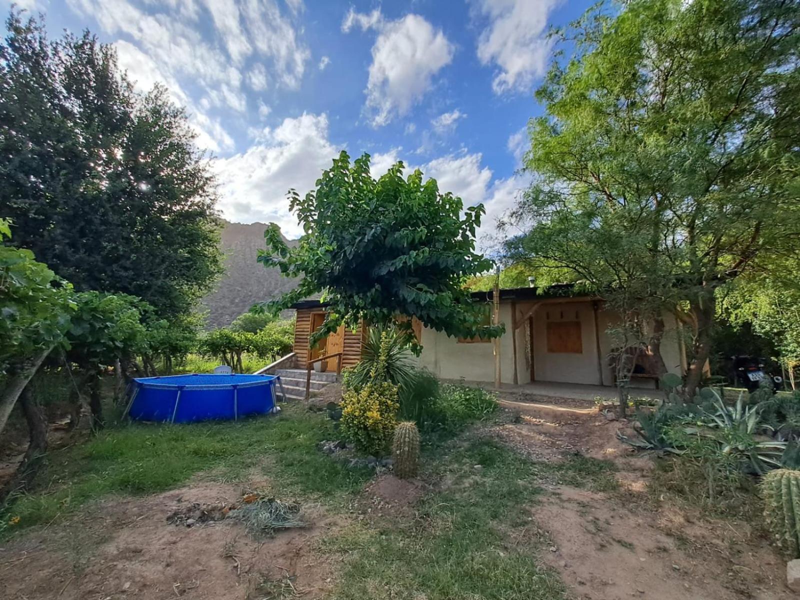 One-Bedroom House photo 2