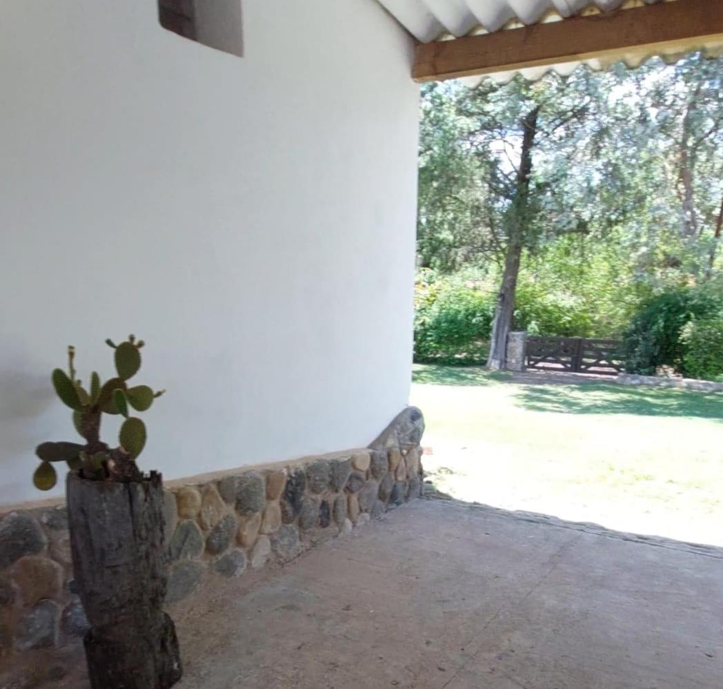 One-Bedroom House photo 2