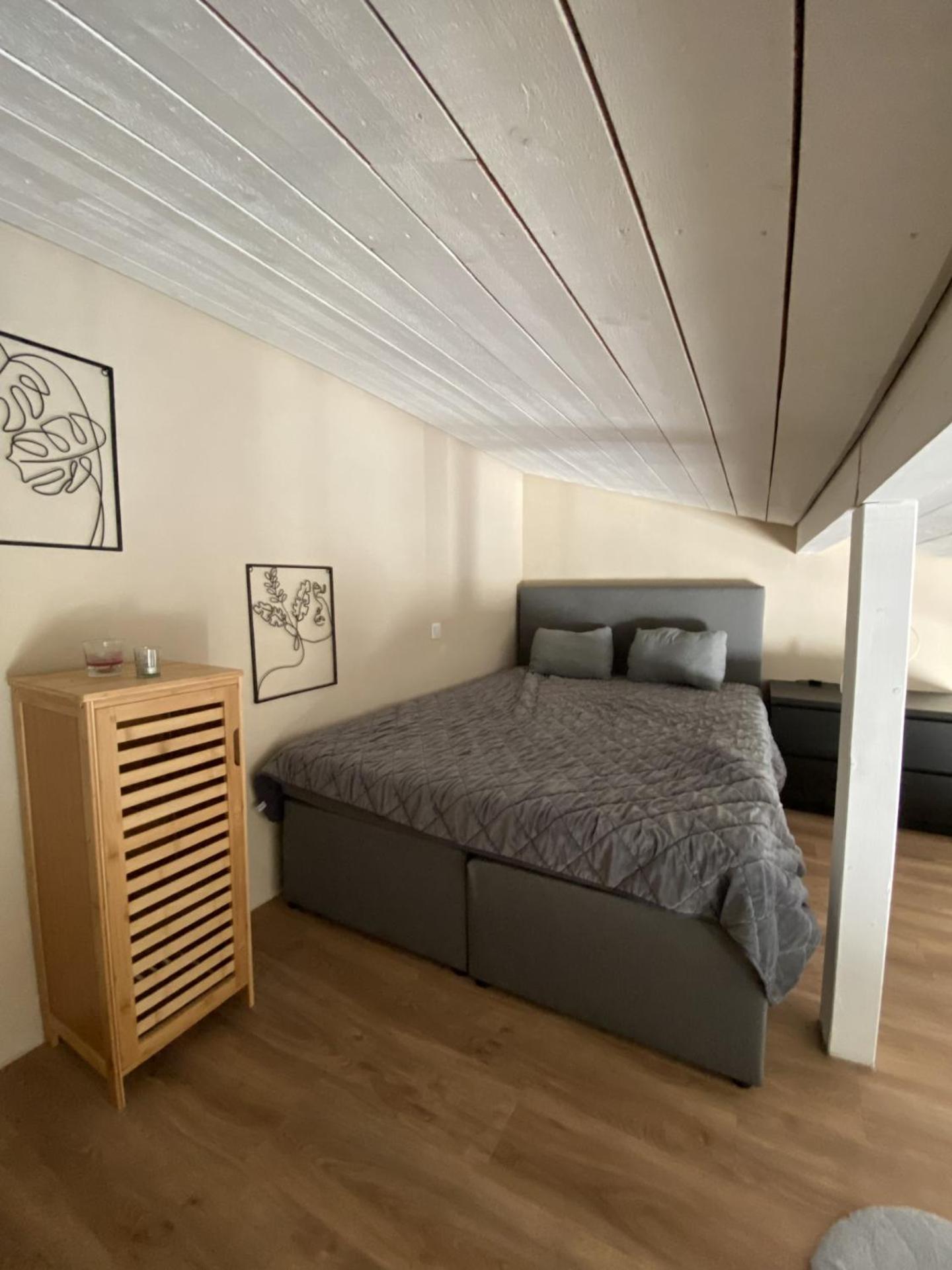 Duplex Apartment photo 1