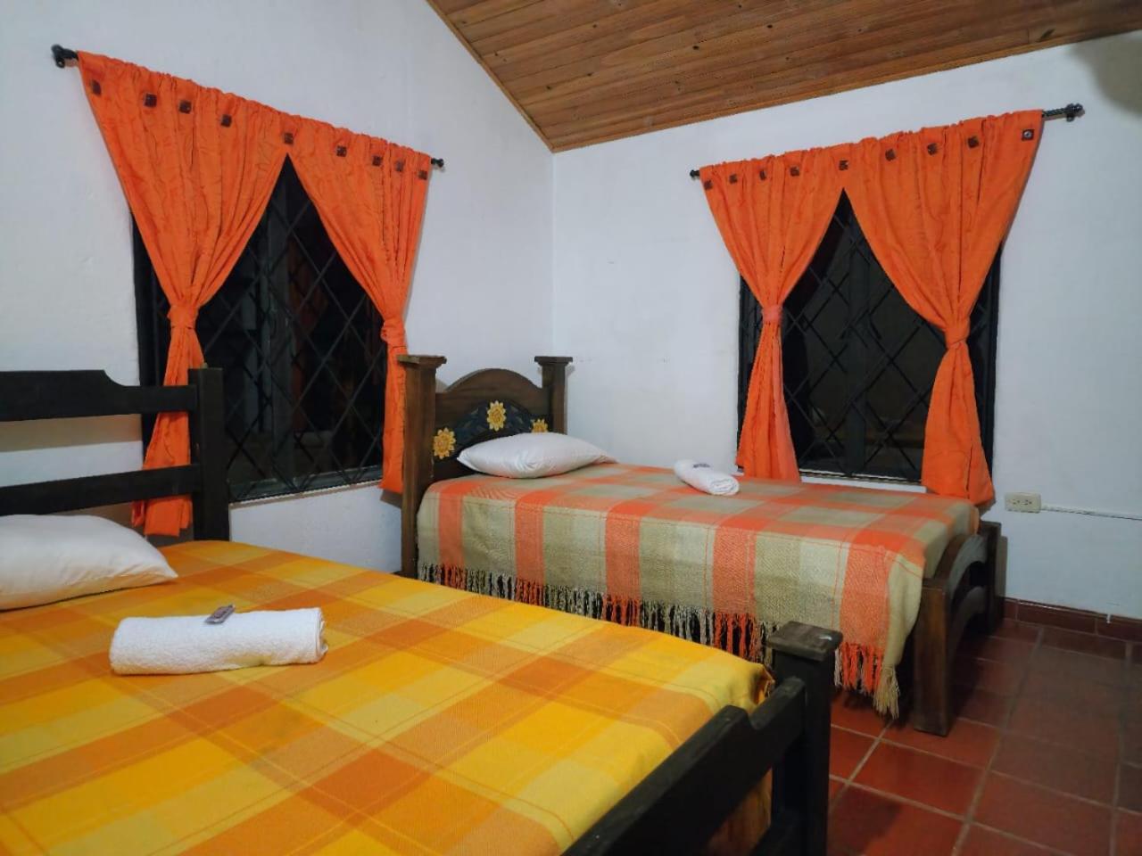 Twin Room photo 1