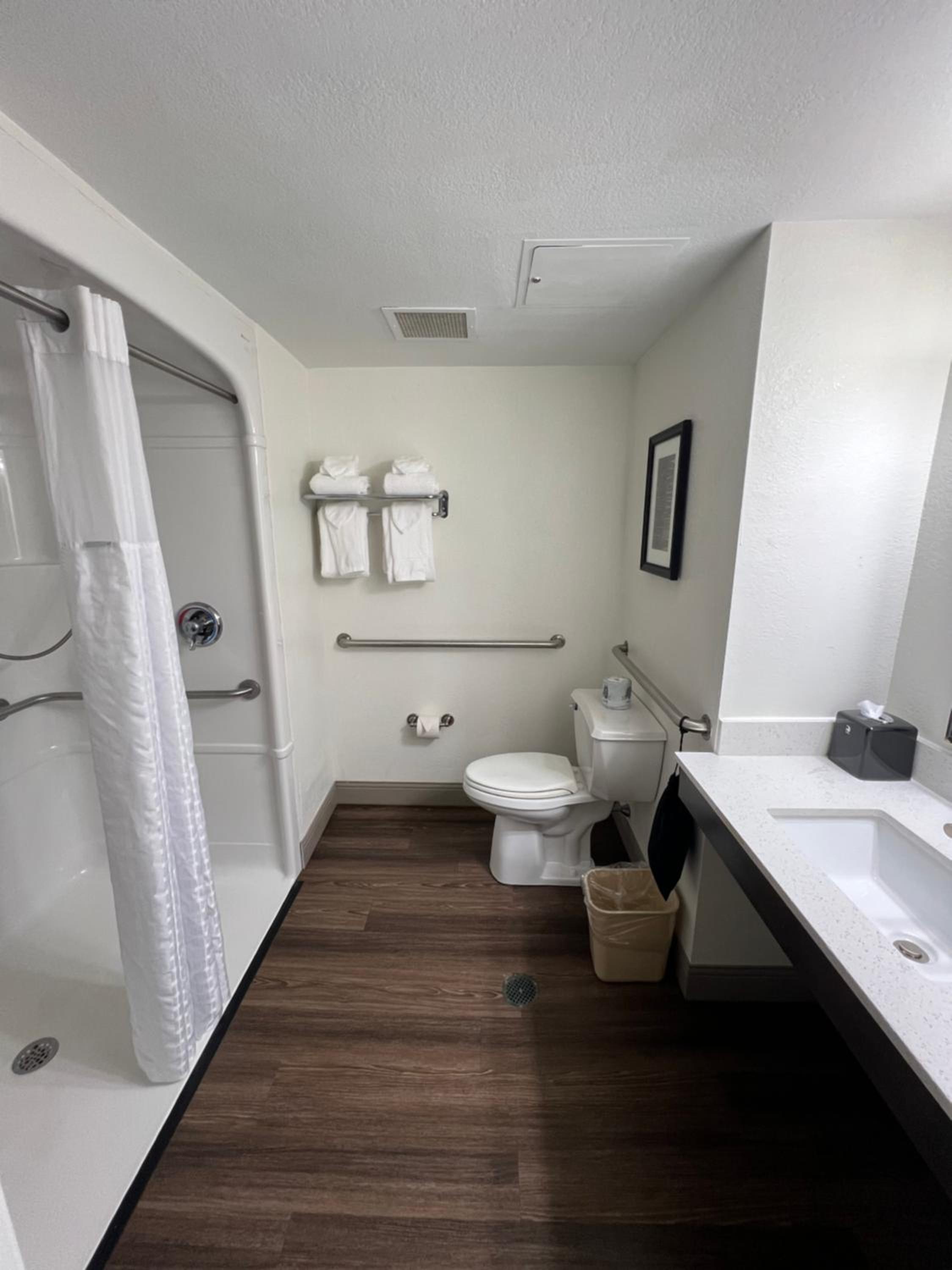 King Room with Roll-in Shower - Mobility Access/Non-Smoking - Photo 10