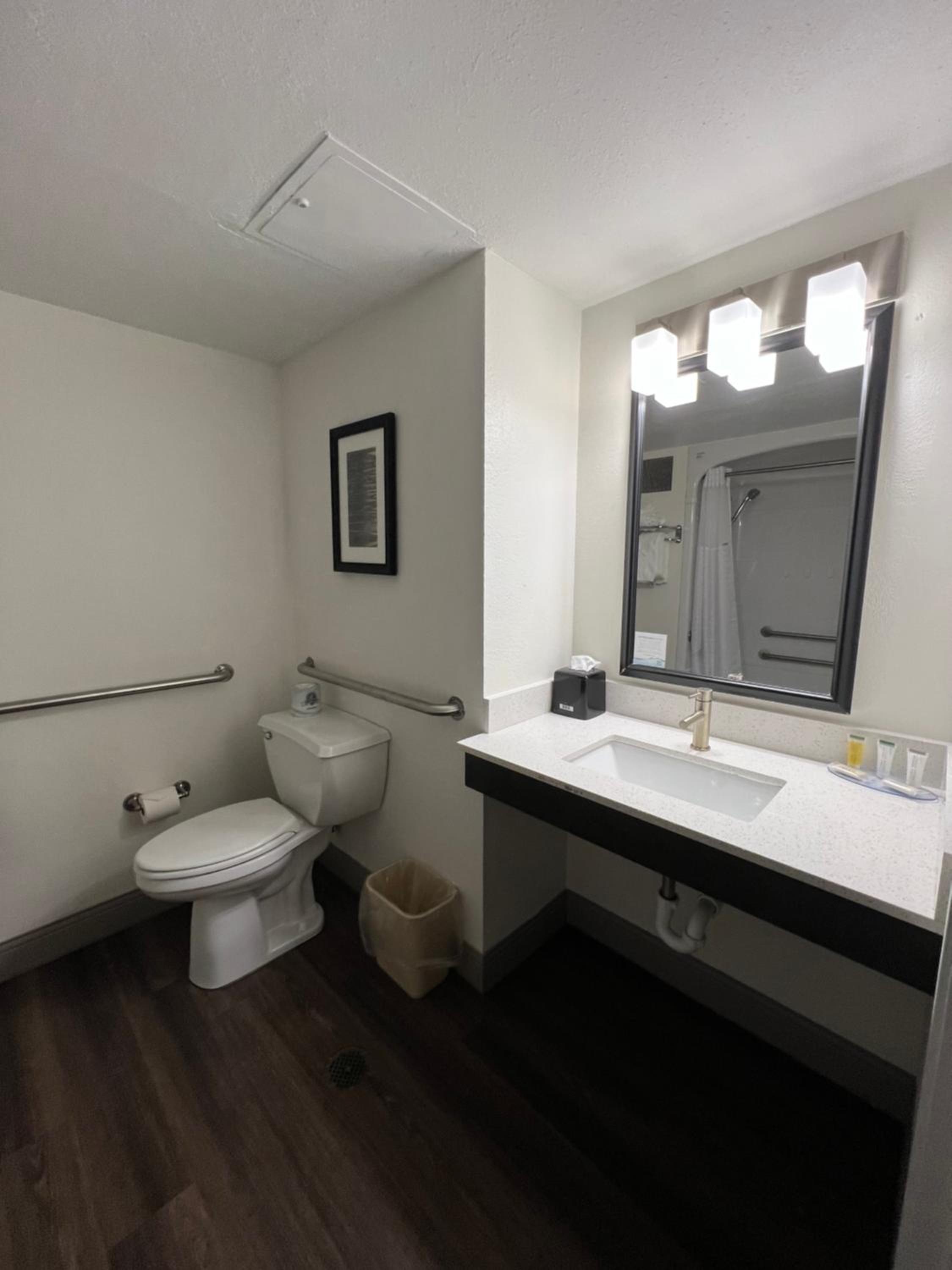King Room with Mobility Access and Bathtub with Grab Bars, Non-Smoking - Photo 6