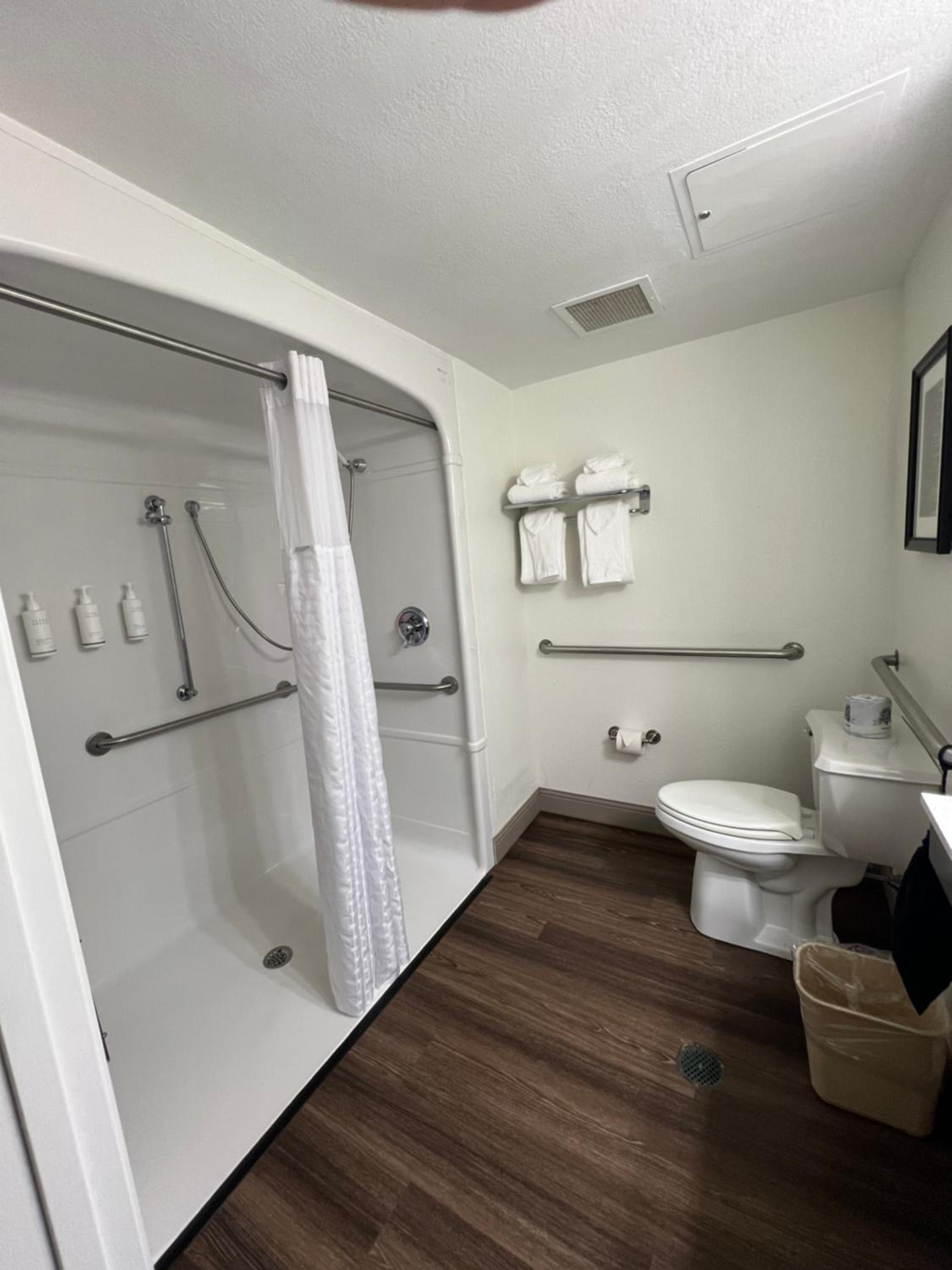 King Room with Roll-in Shower - Mobility Access/Non-Smoking - Photo 3
