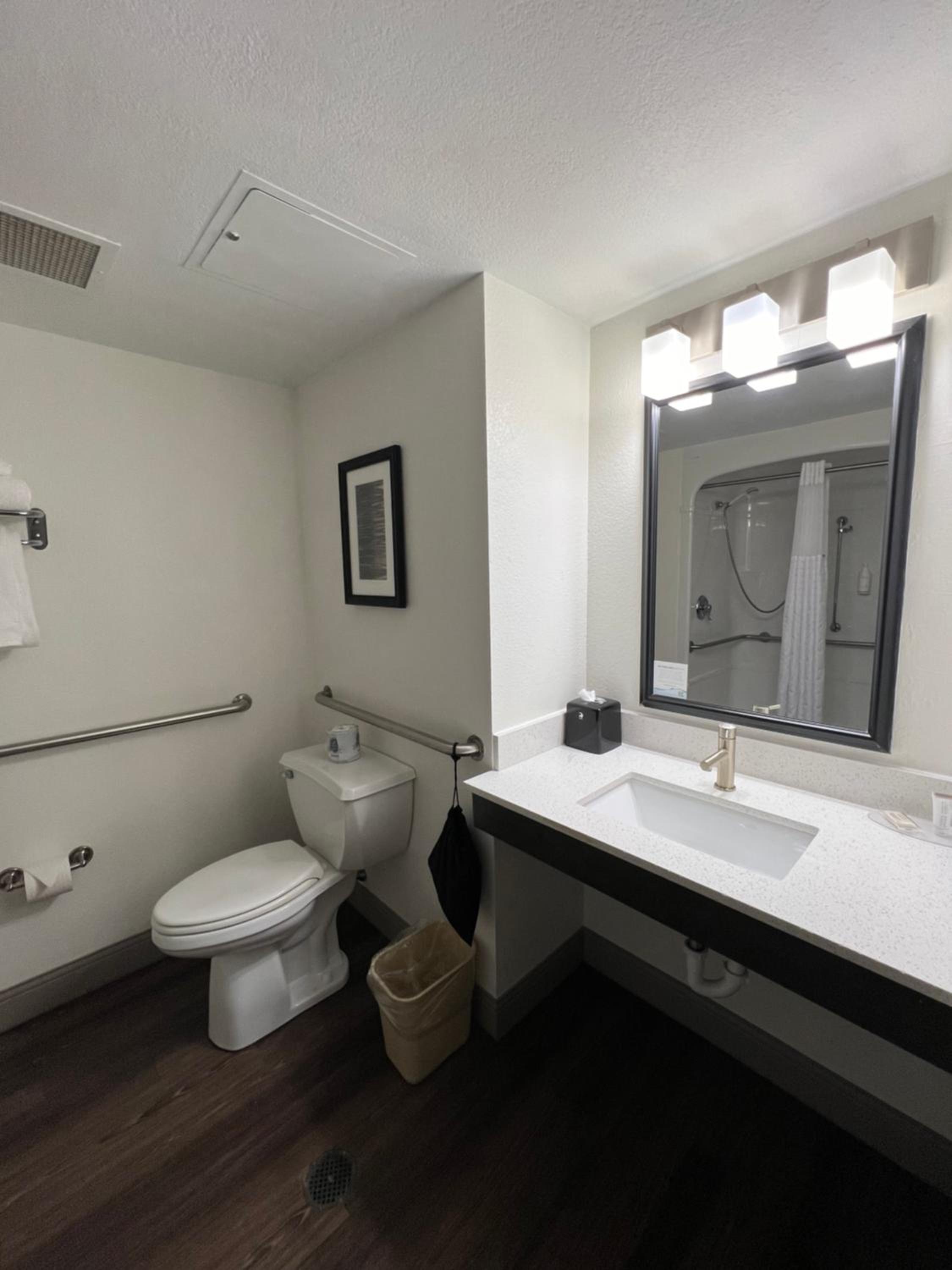 King Room with Mobility Access and Bathtub with Grab Bars, Non-Smoking - Photo 8