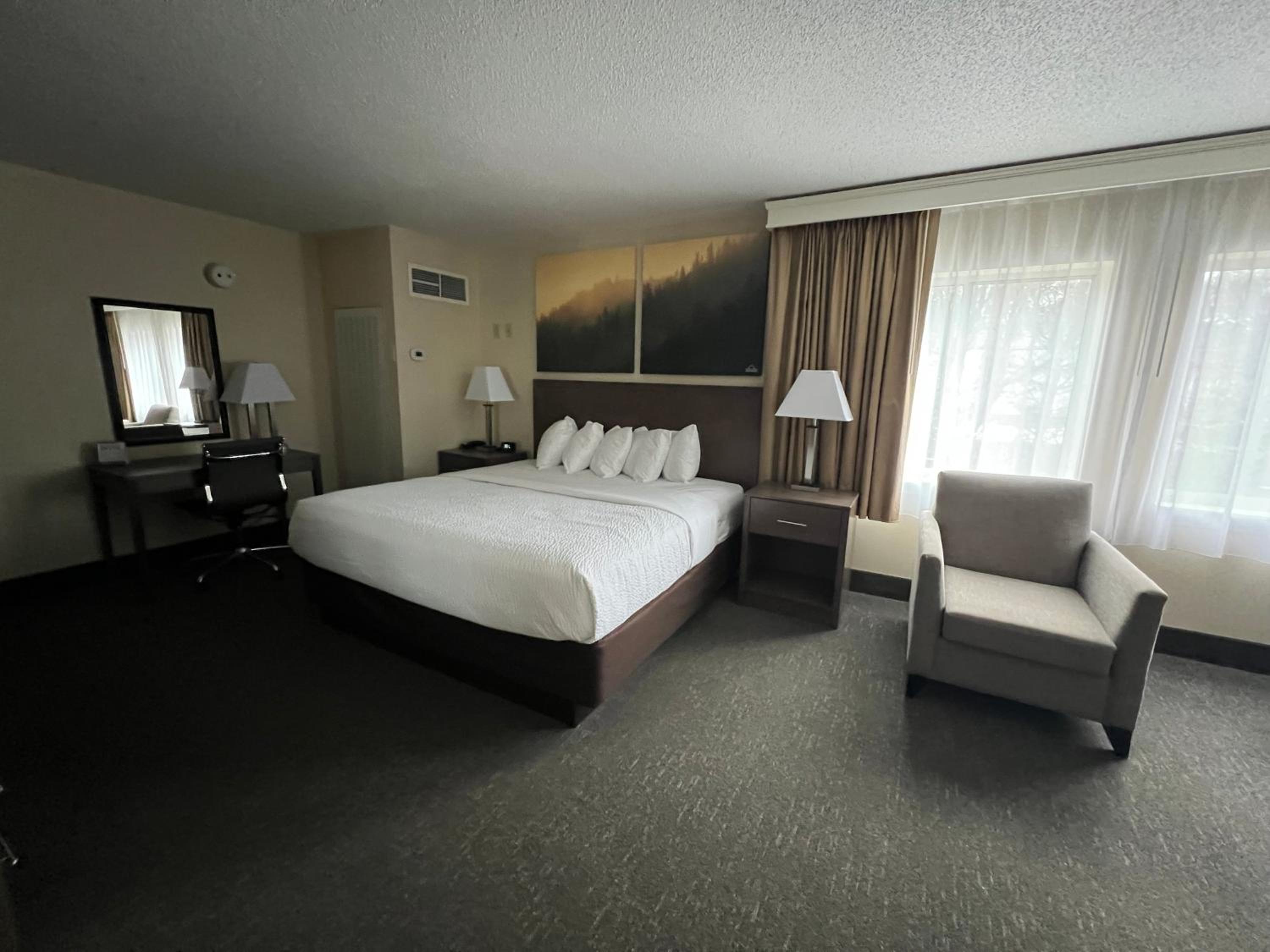 Deluxe King Room - Non-Smoking - Photo 1