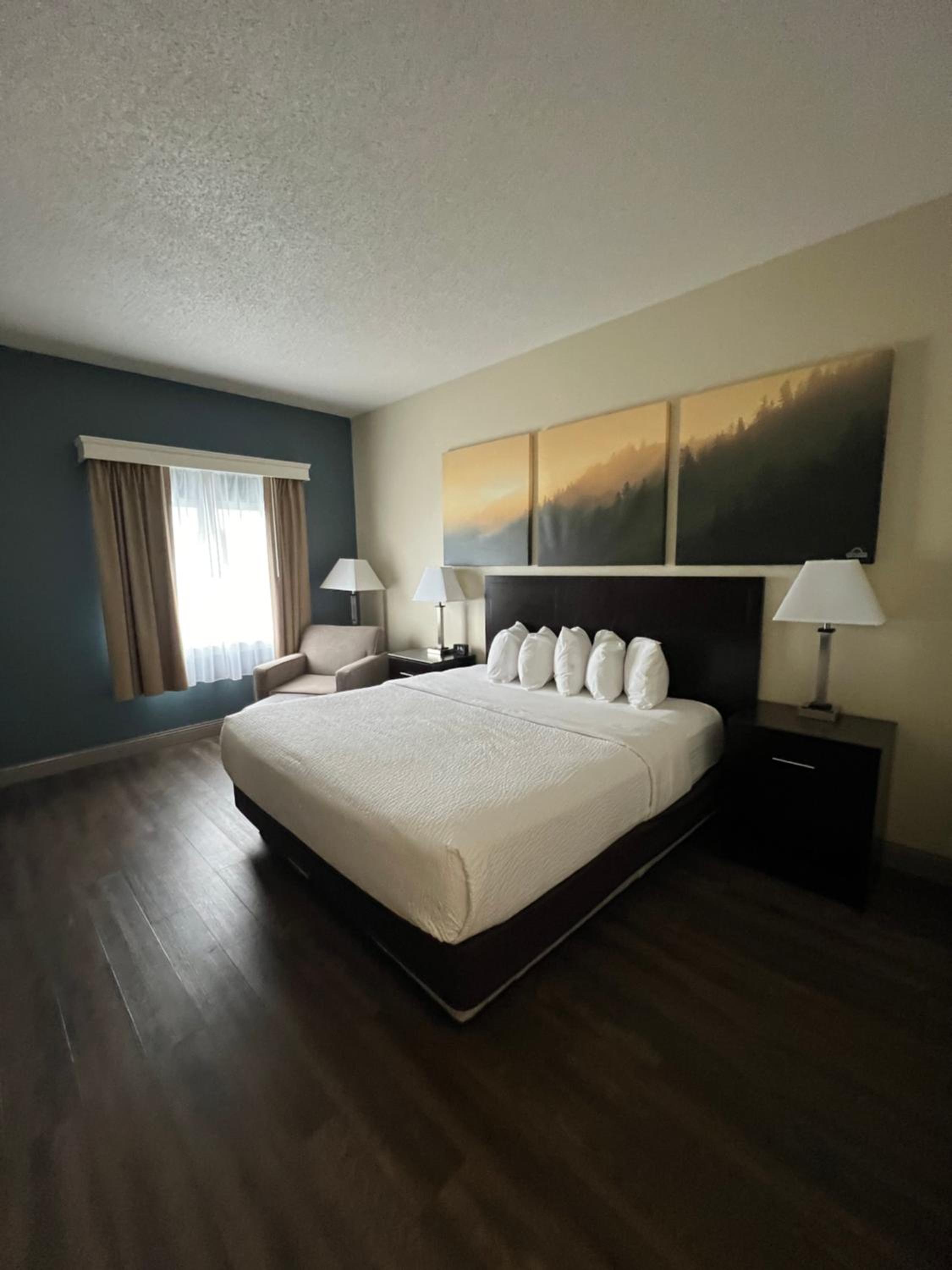 King Room with Mobility Access and Bathtub with Grab Bars, Non-Smoking - Photo 1