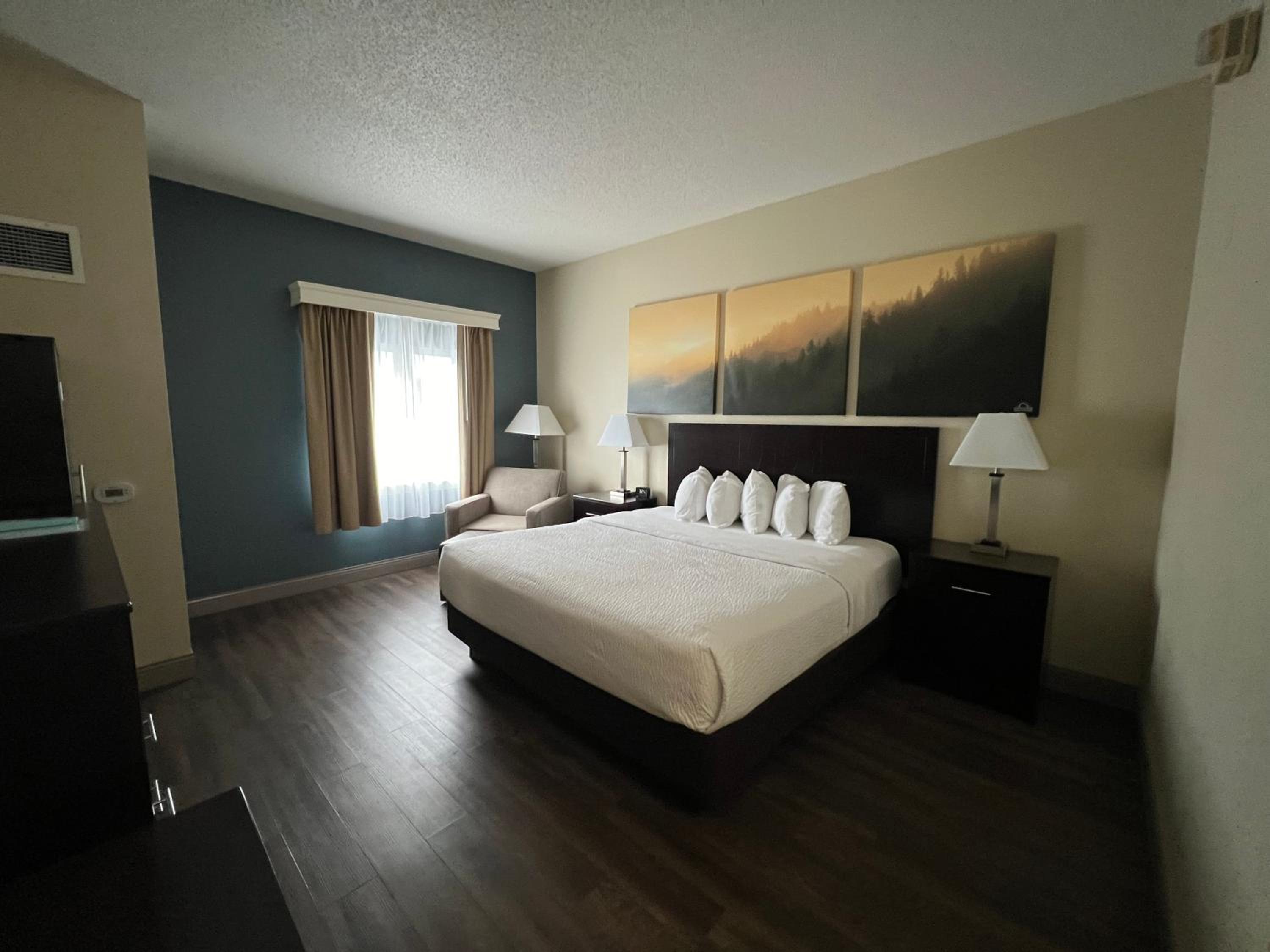 King Room with Mobility Access and Bathtub with Grab Bars, Non-Smoking - Photo 2