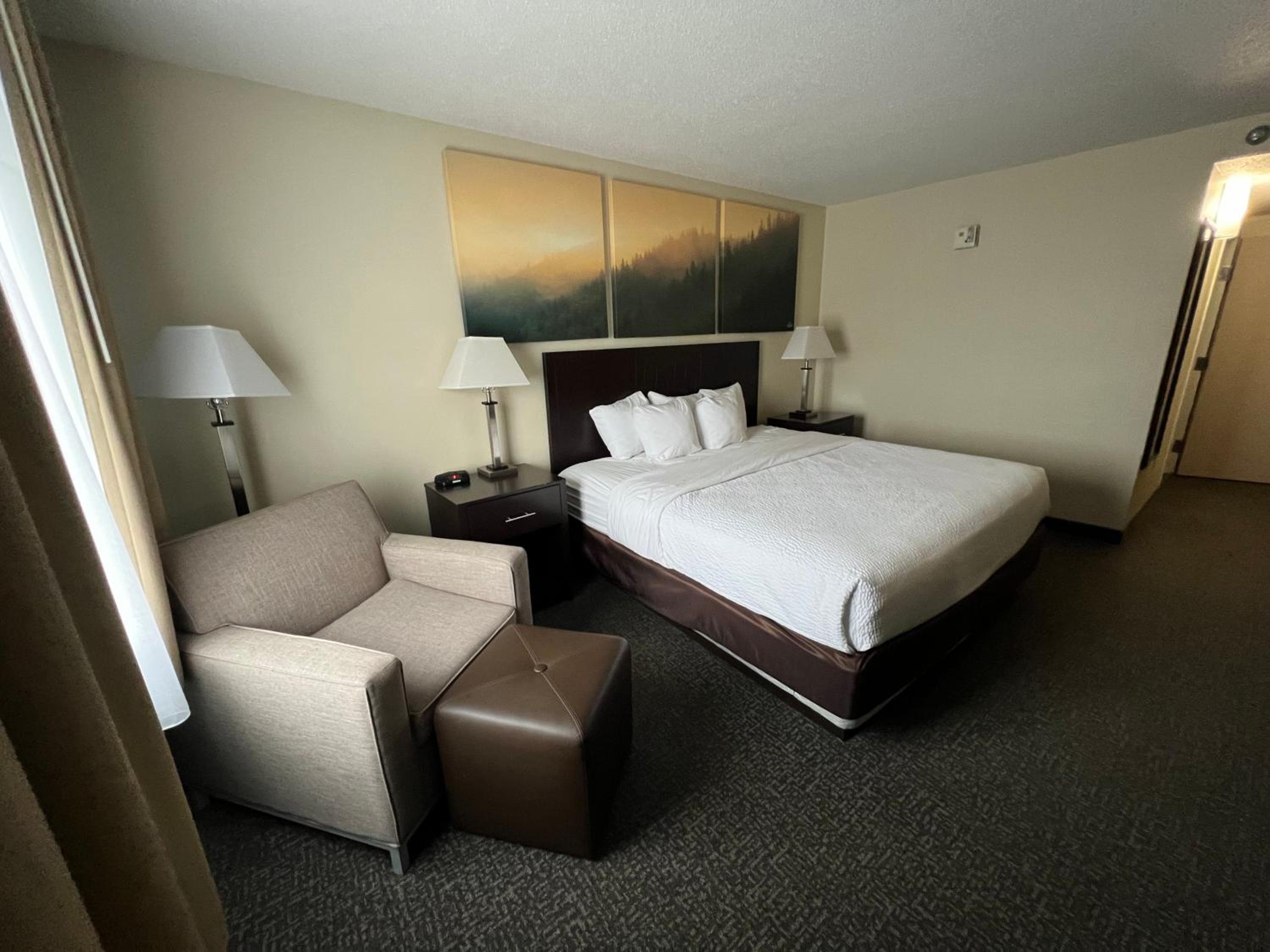 King Room with Mobility Access and Bathtub with Grab Bars, Non-Smoking - Photo 5