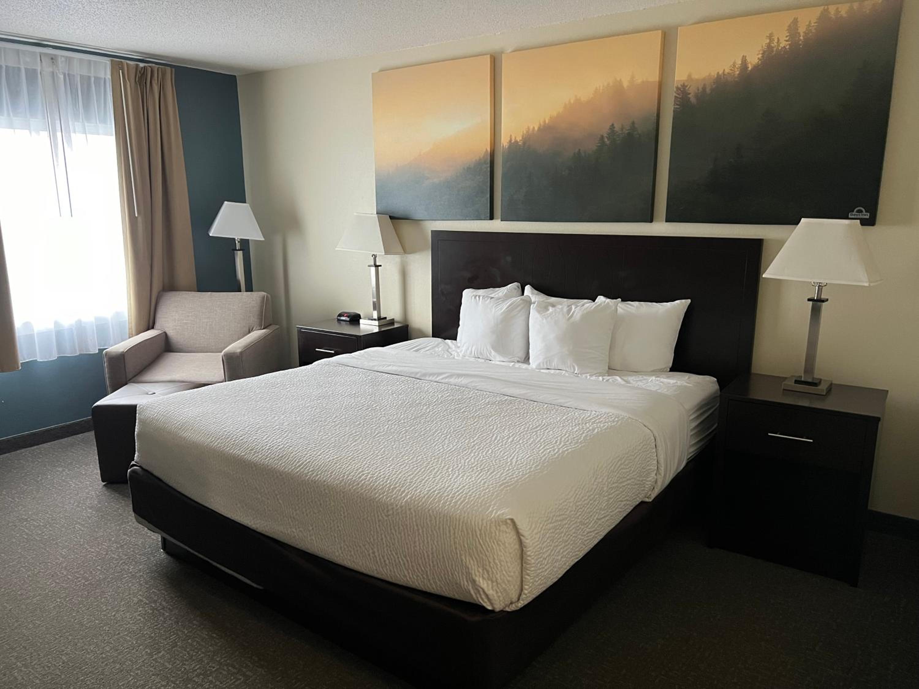 King Room with Mobility Access and Bathtub with Grab Bars, Non-Smoking - Photo 4