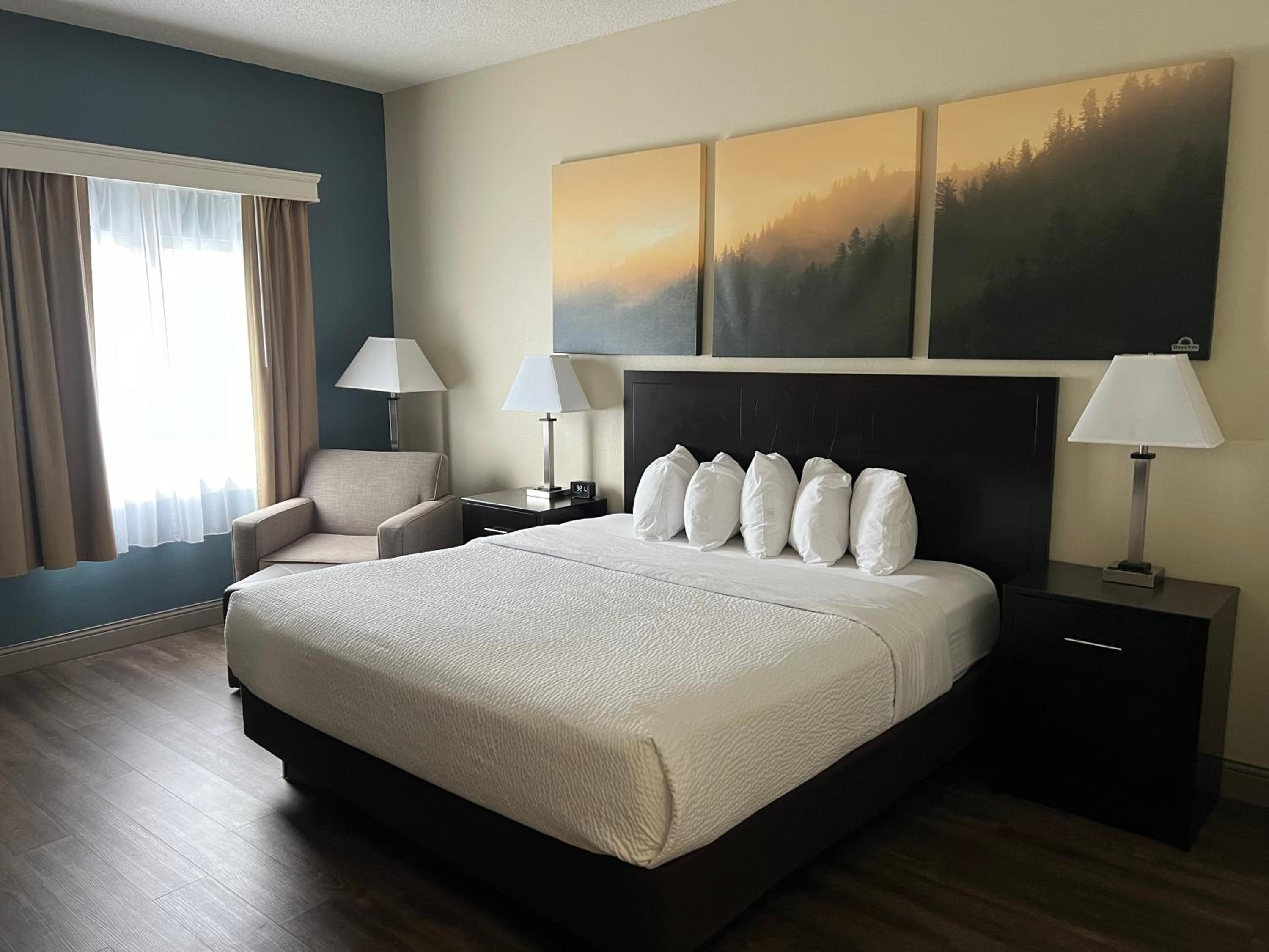 King Room with Mobility Access and Bathtub with Grab Bars, Non-Smoking - Photo 3