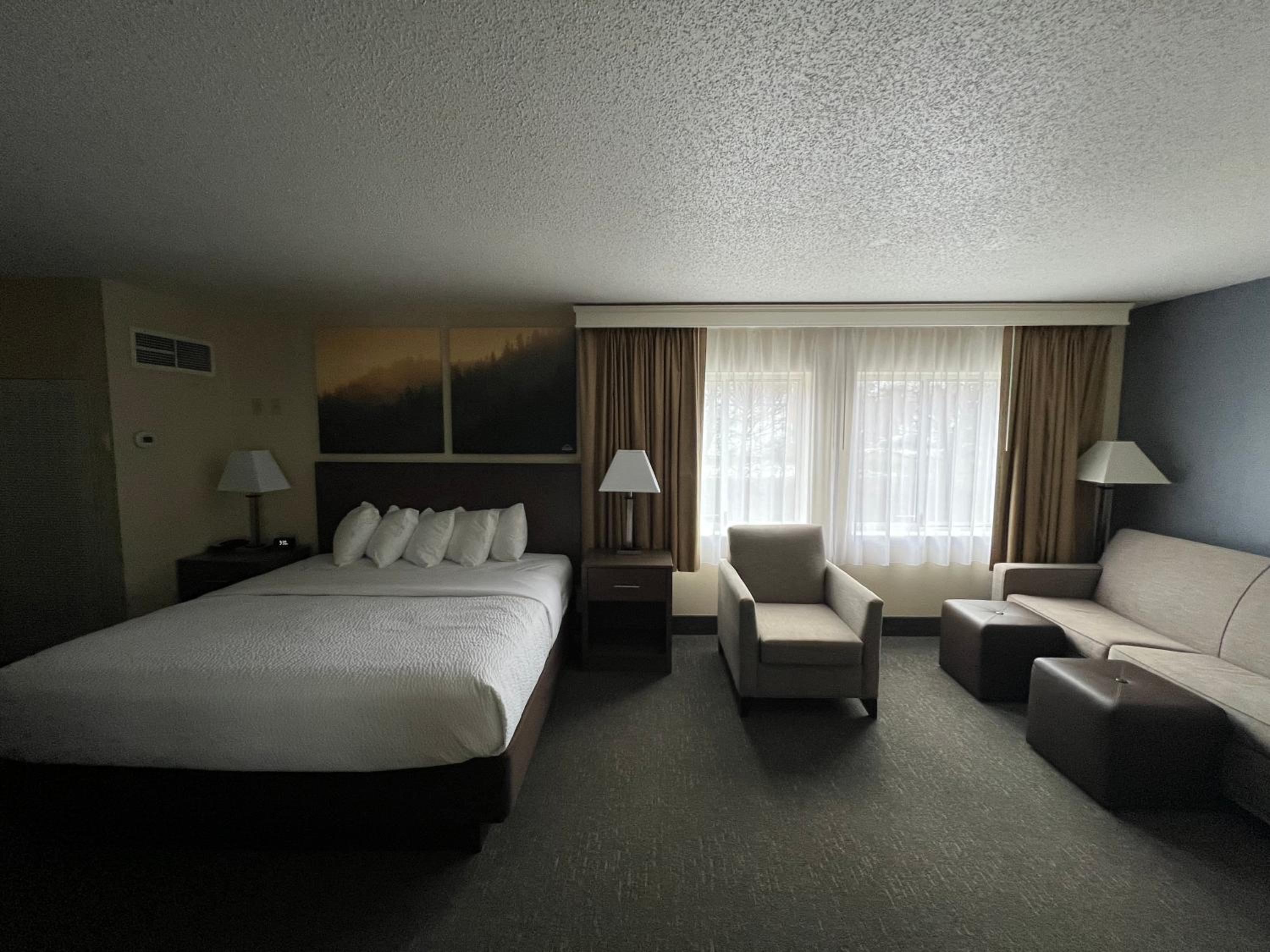 Deluxe King Room - Non-Smoking - Photo 3
