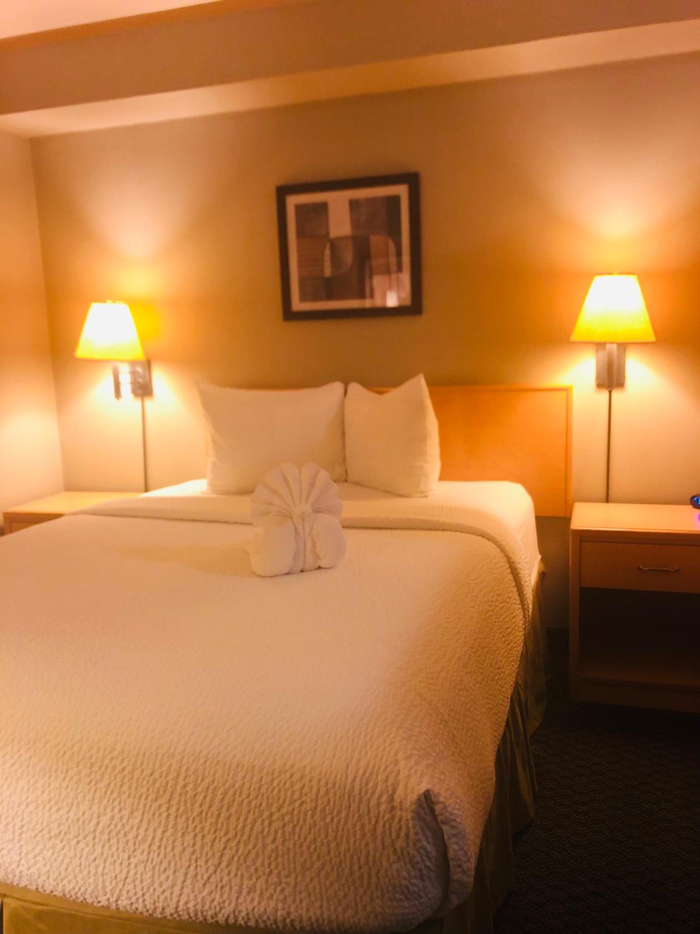 Superior Queen Room - Non-Smoking - Photo 3