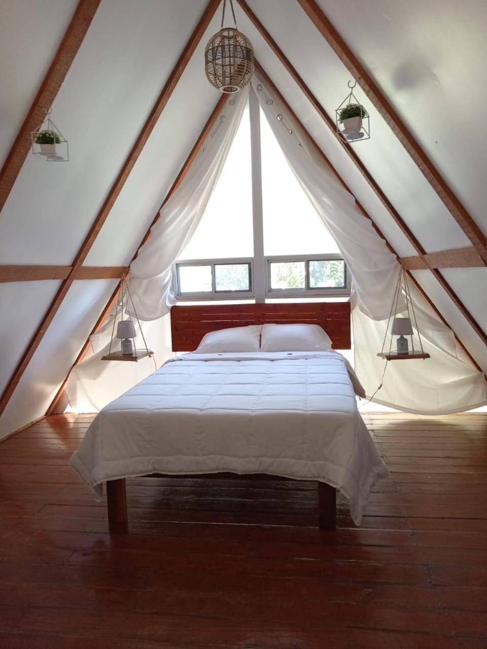 Queen Room photo 2