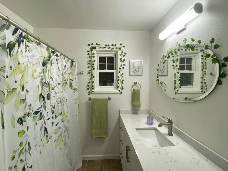 One-Bedroom House photo 2