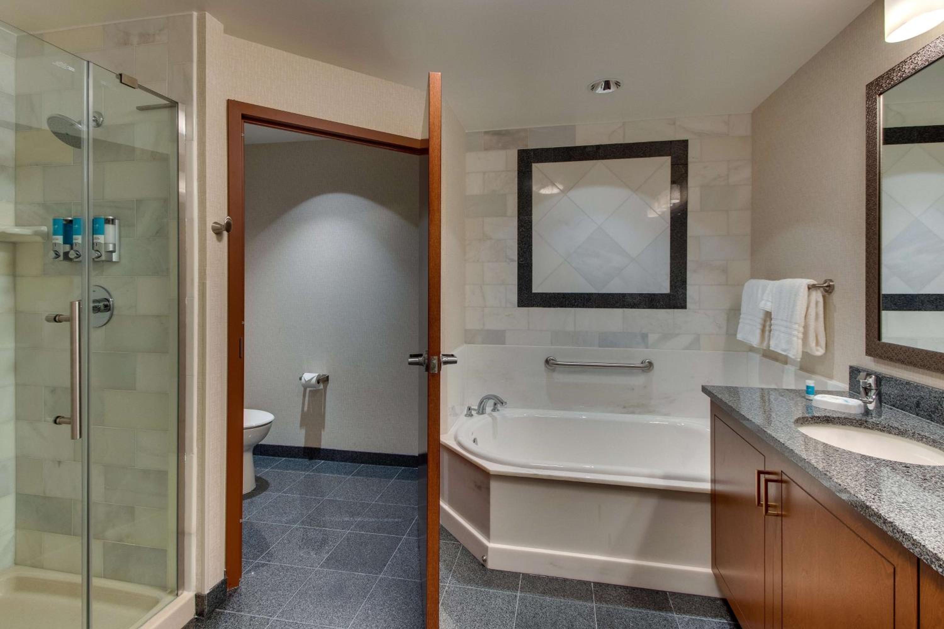 King Suite with Sofa Bed - Hearing Accessible - Photo 3