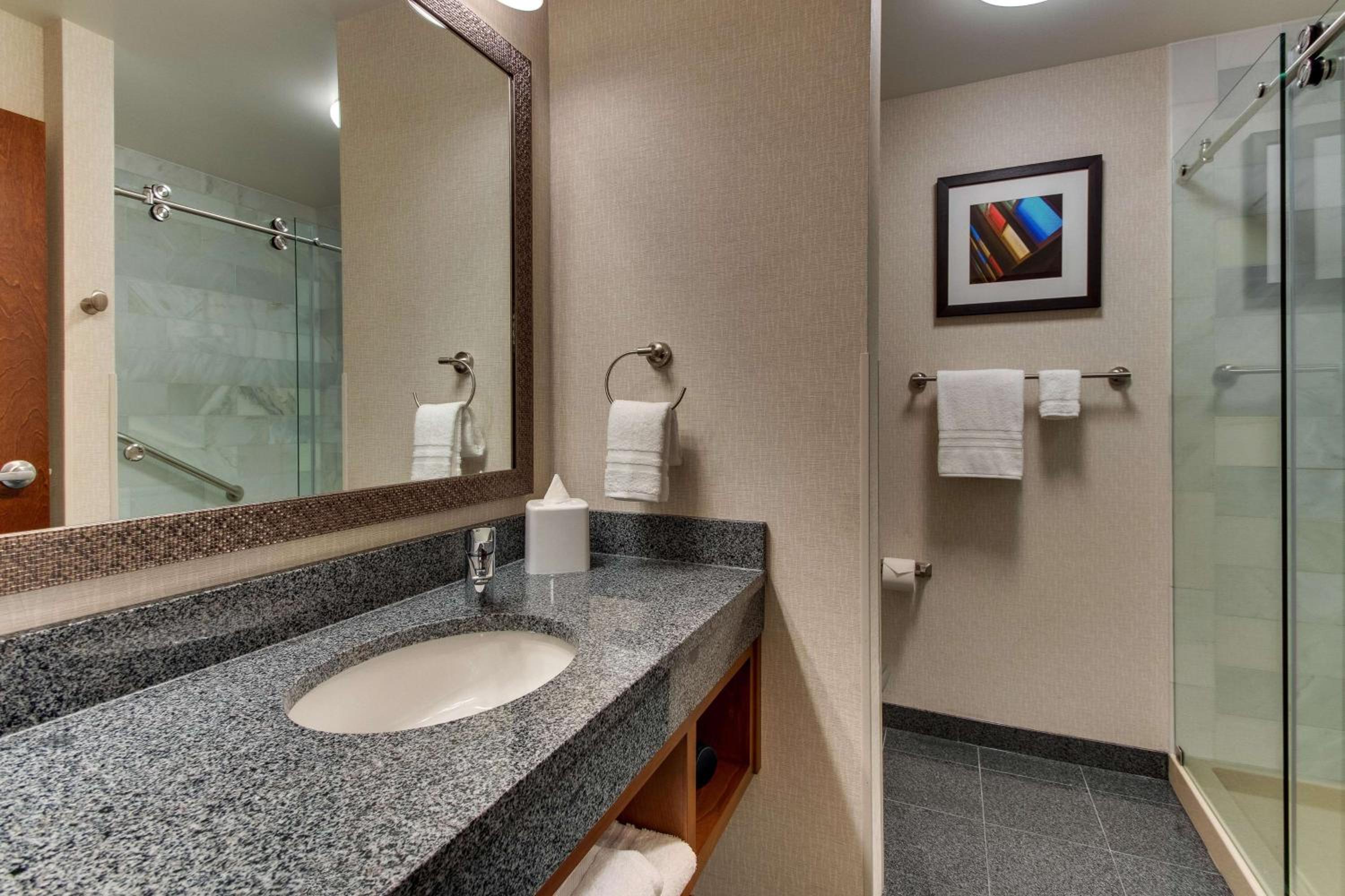 King Suite with Sofa Bed - Hearing Accessible - Photo 6