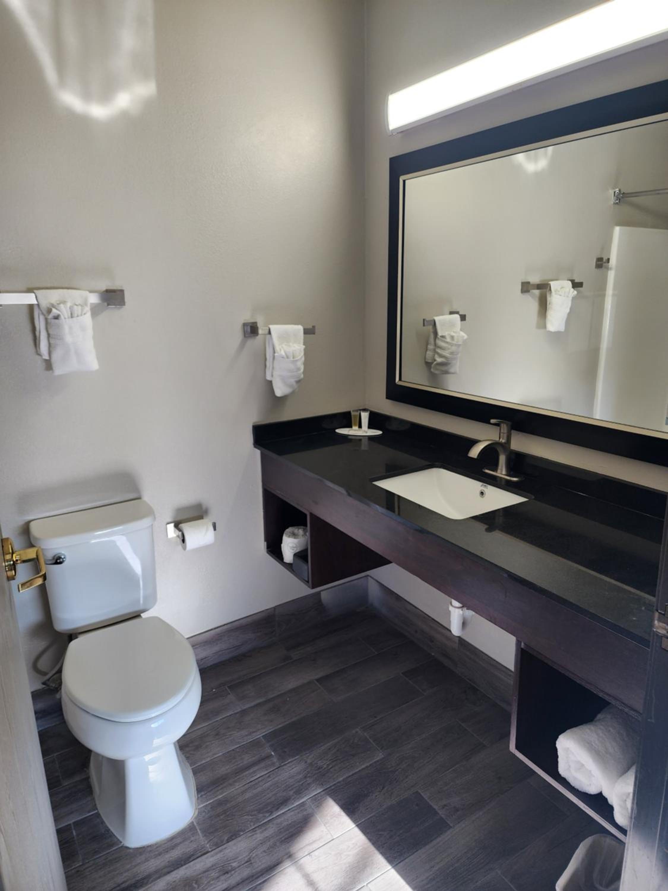 Deluxe King Suite - Non-Smoking - Photo 11