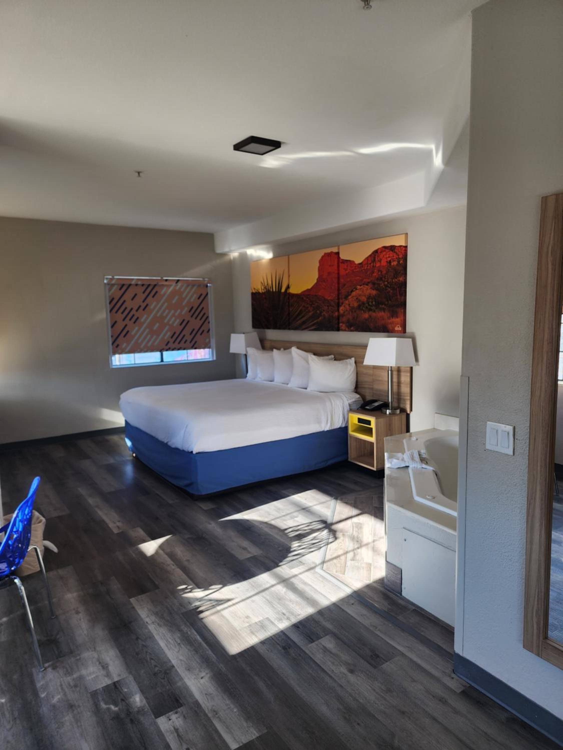 Deluxe King Suite - Non-Smoking - Photo 3