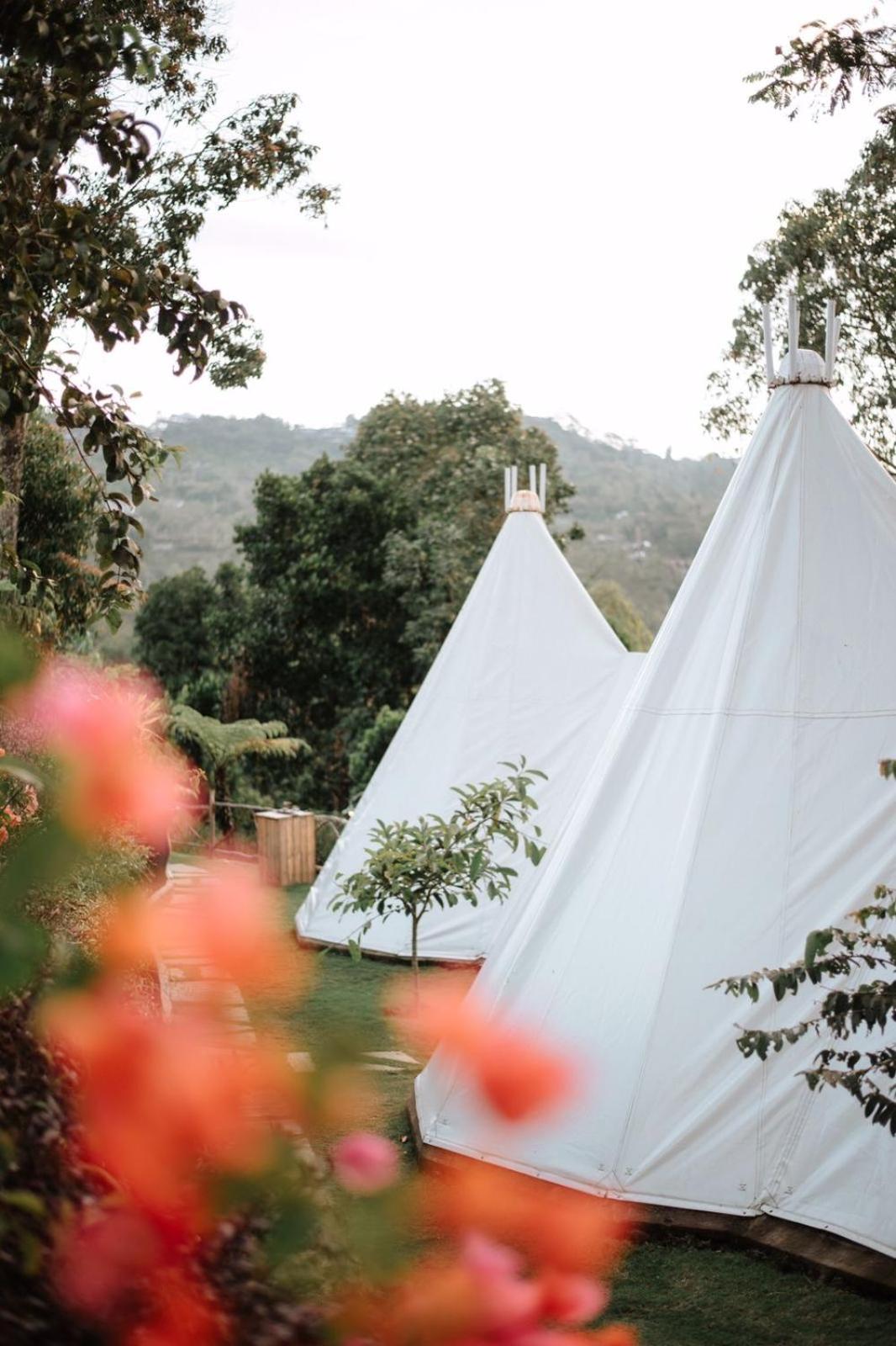 Rejeng - Glamping - Photo 9