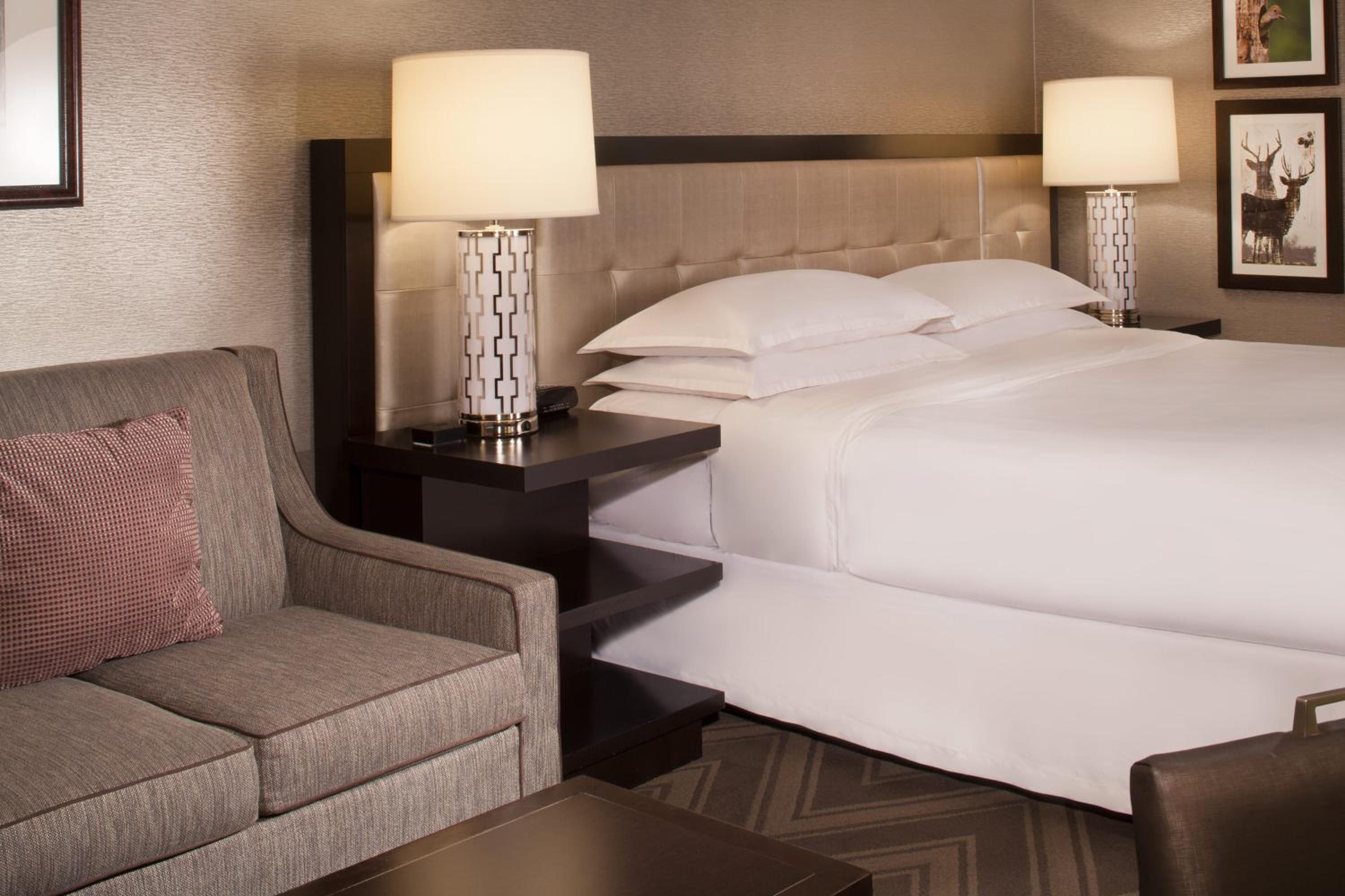 Guest Room, 1 King Bed, Sofa Bed photo 3
