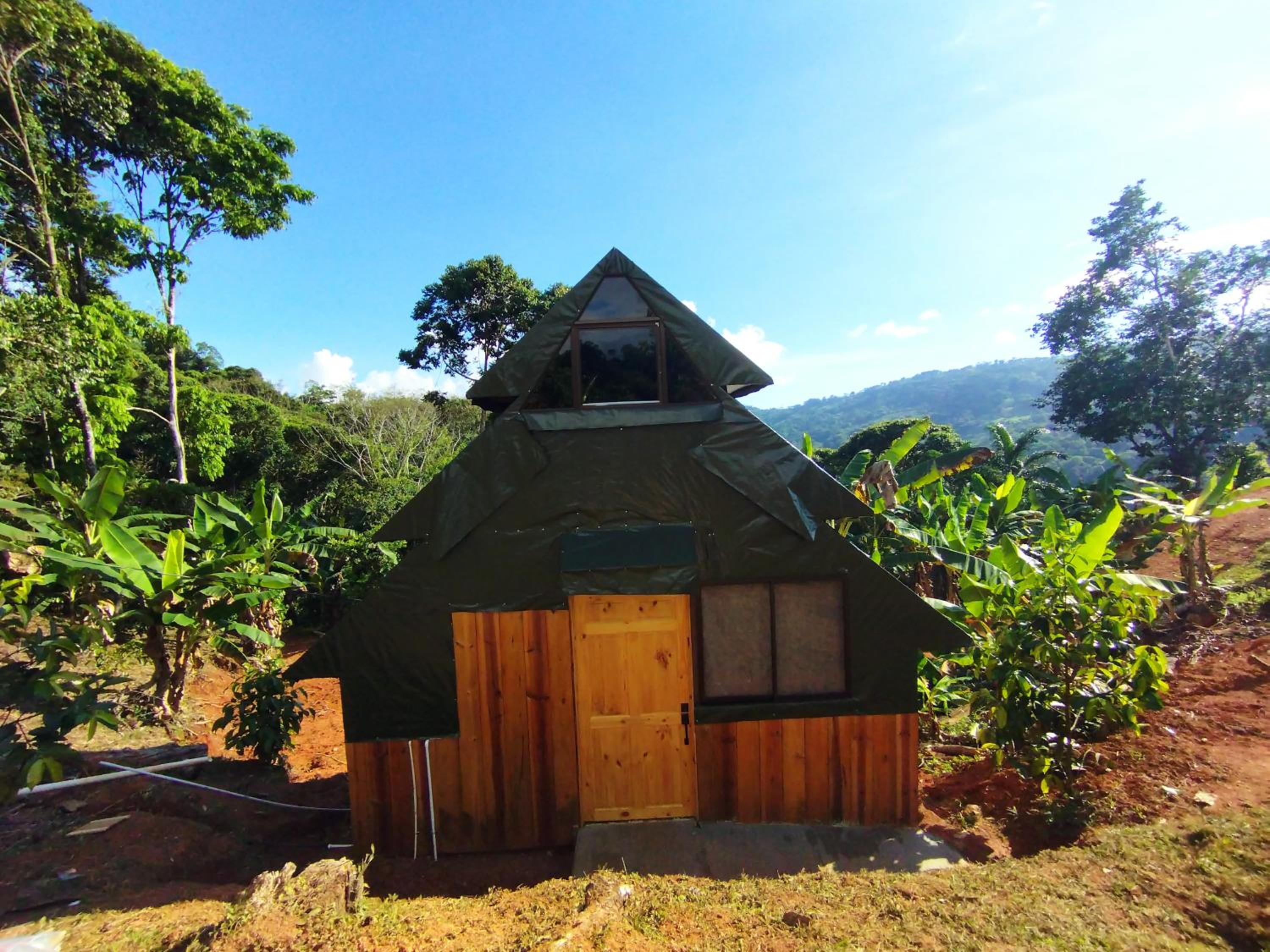 Bungalow with Garden View photo 3