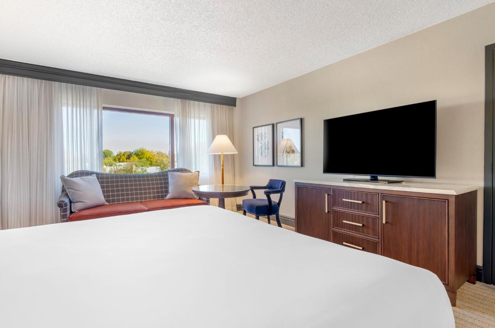Deluxe Room -1 King Bed - Photo 10
