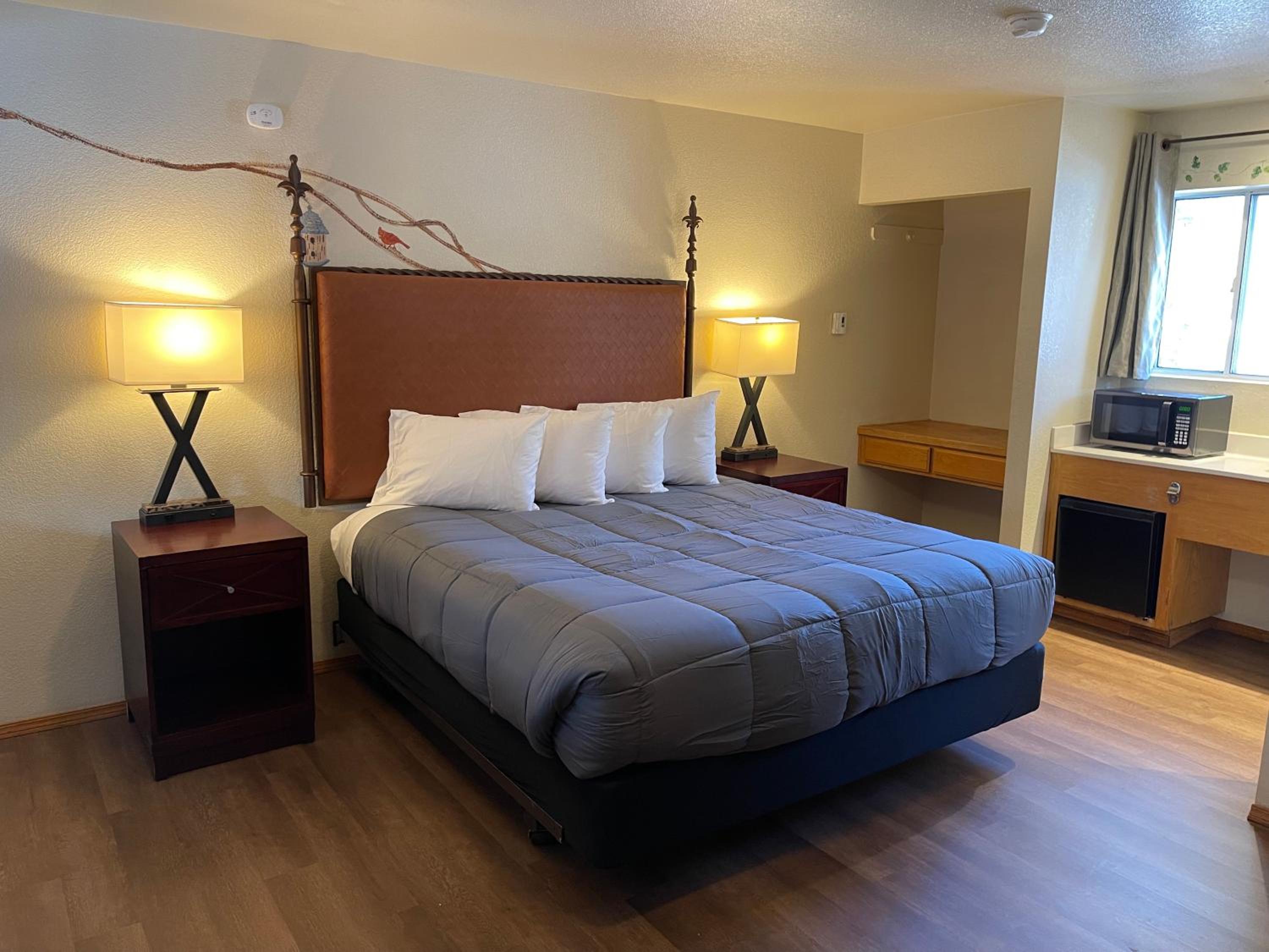 Deluxe King Suite - Photo 1