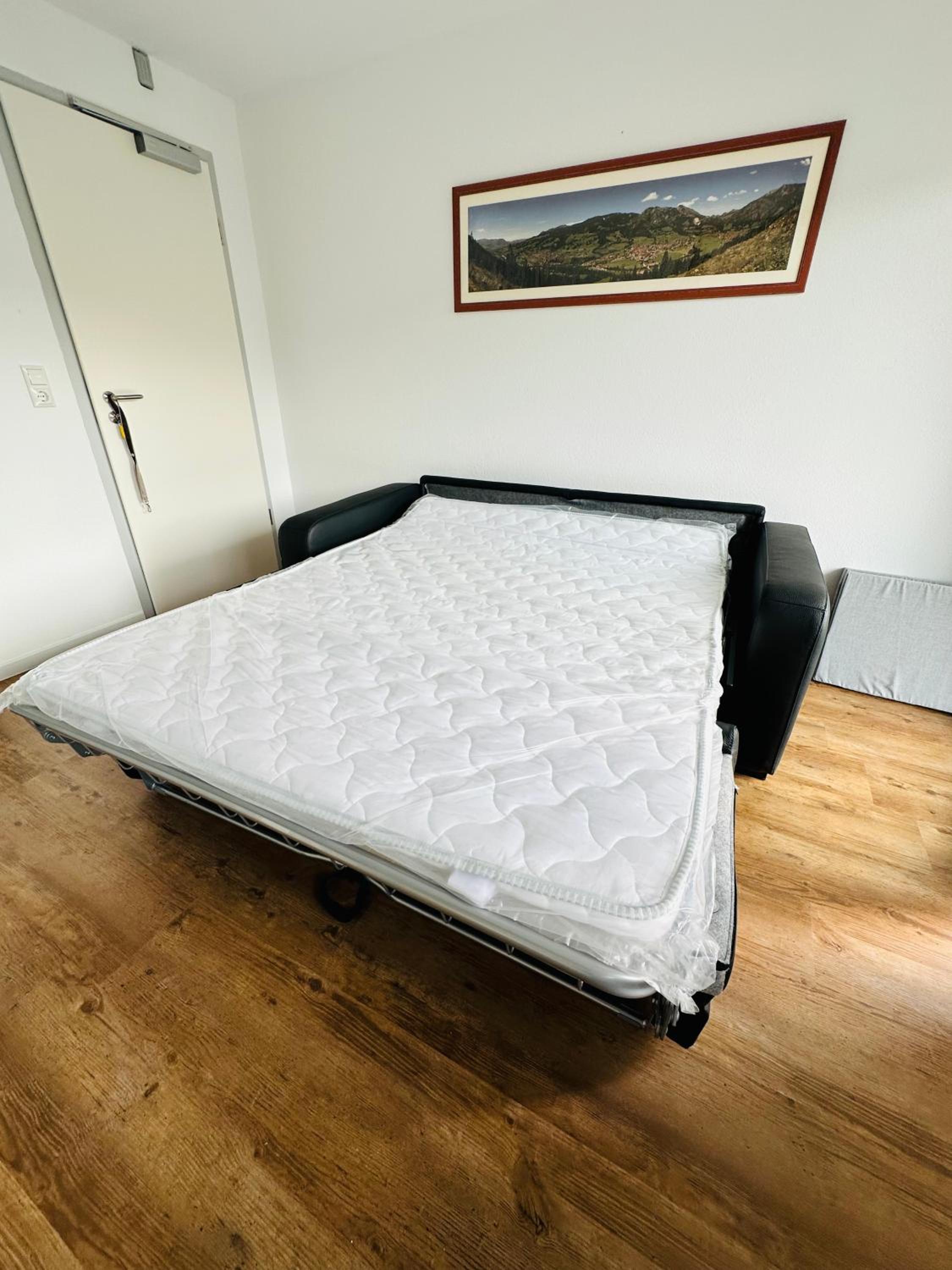 One-Bedroom Apartment photo 2