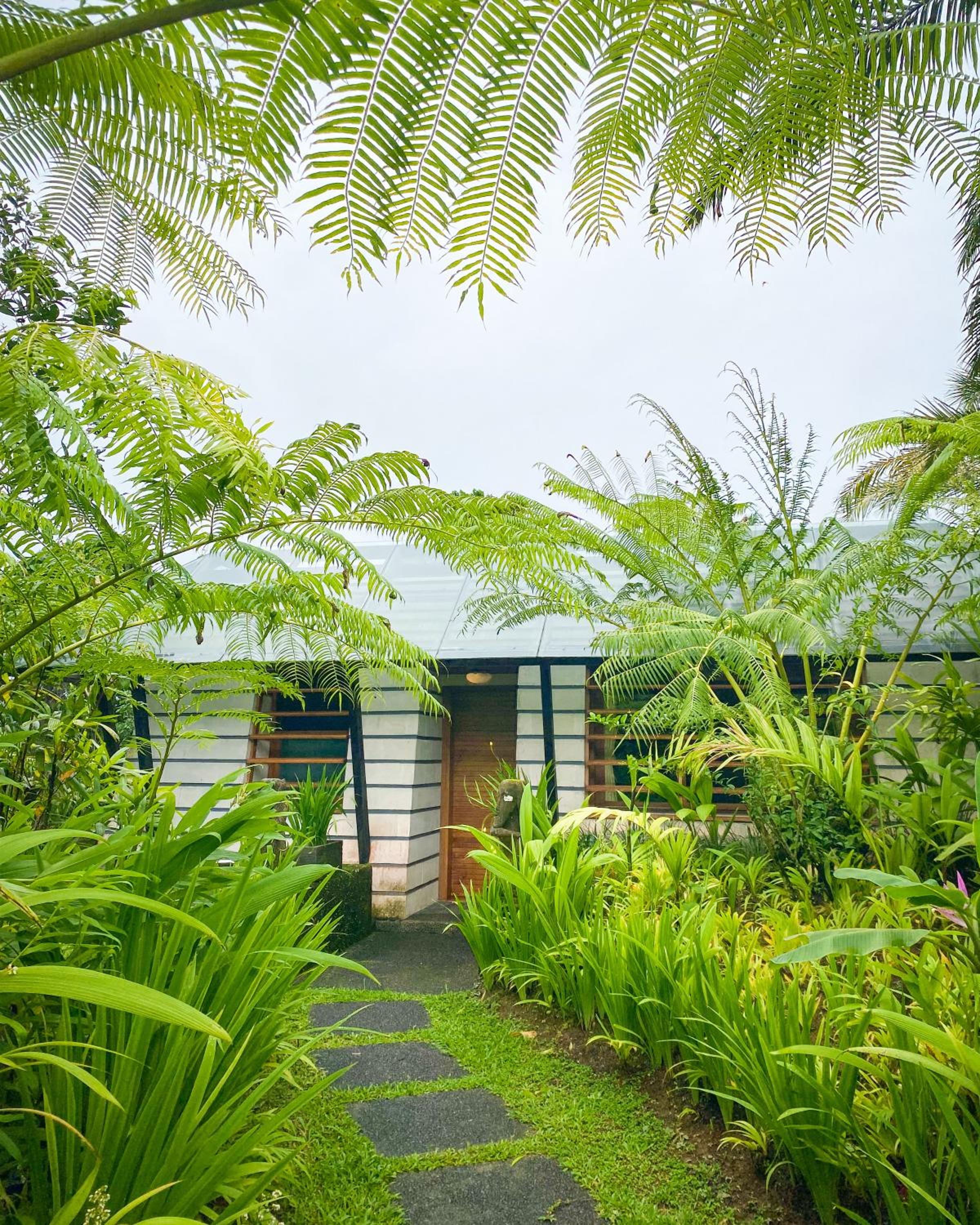 Deluxe Villa - Photo 12