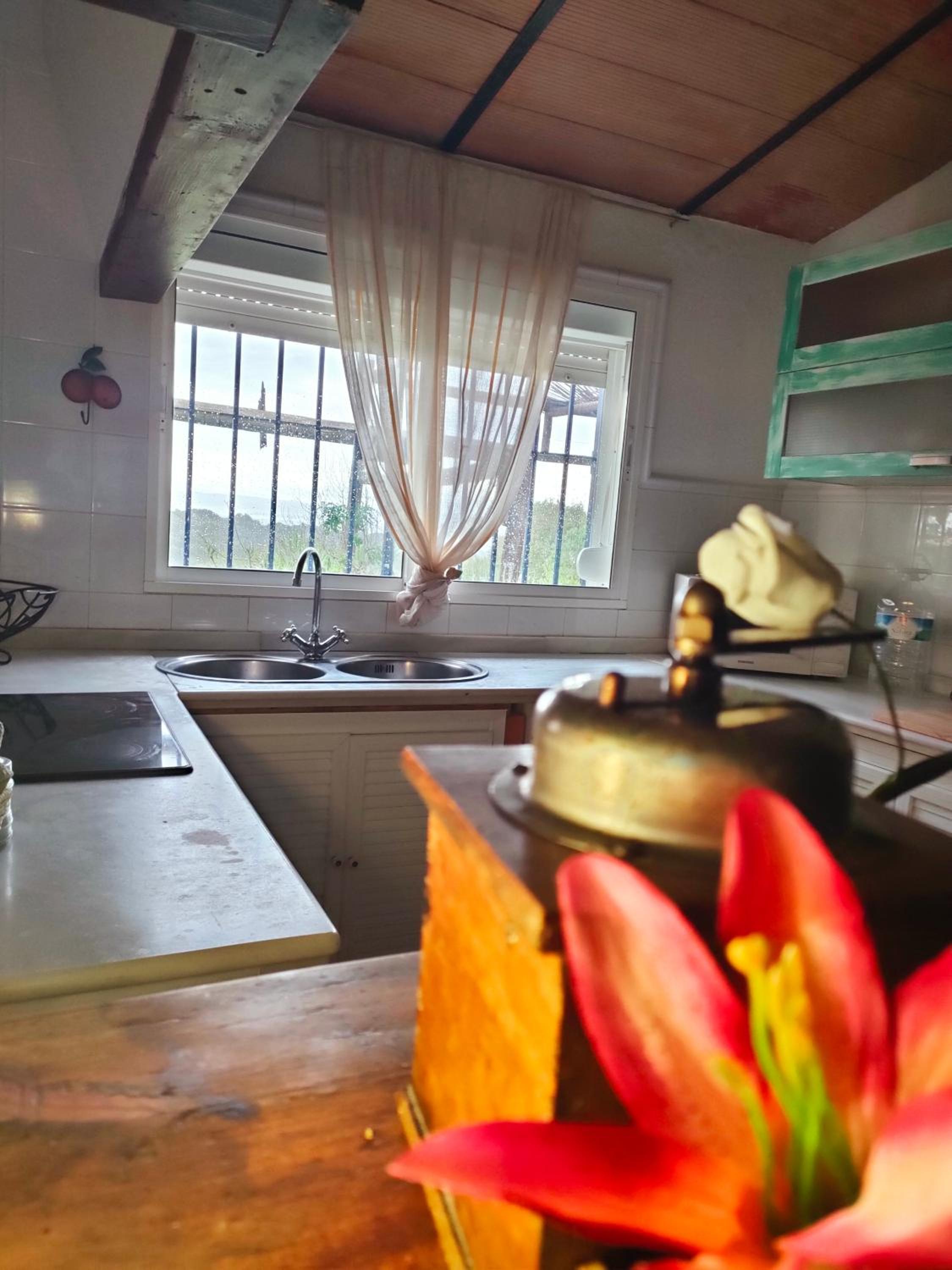 Three-Bedroom Chalet photo 2