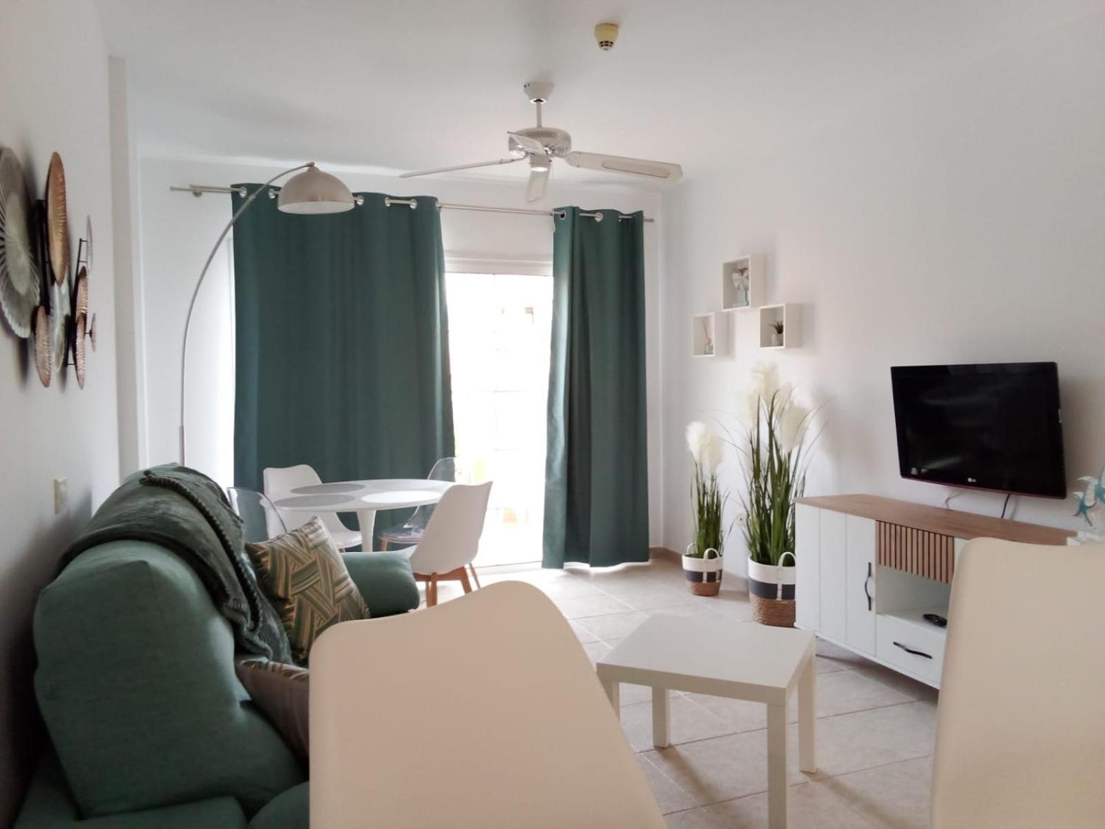 One-Bedroom Apartment photo 3