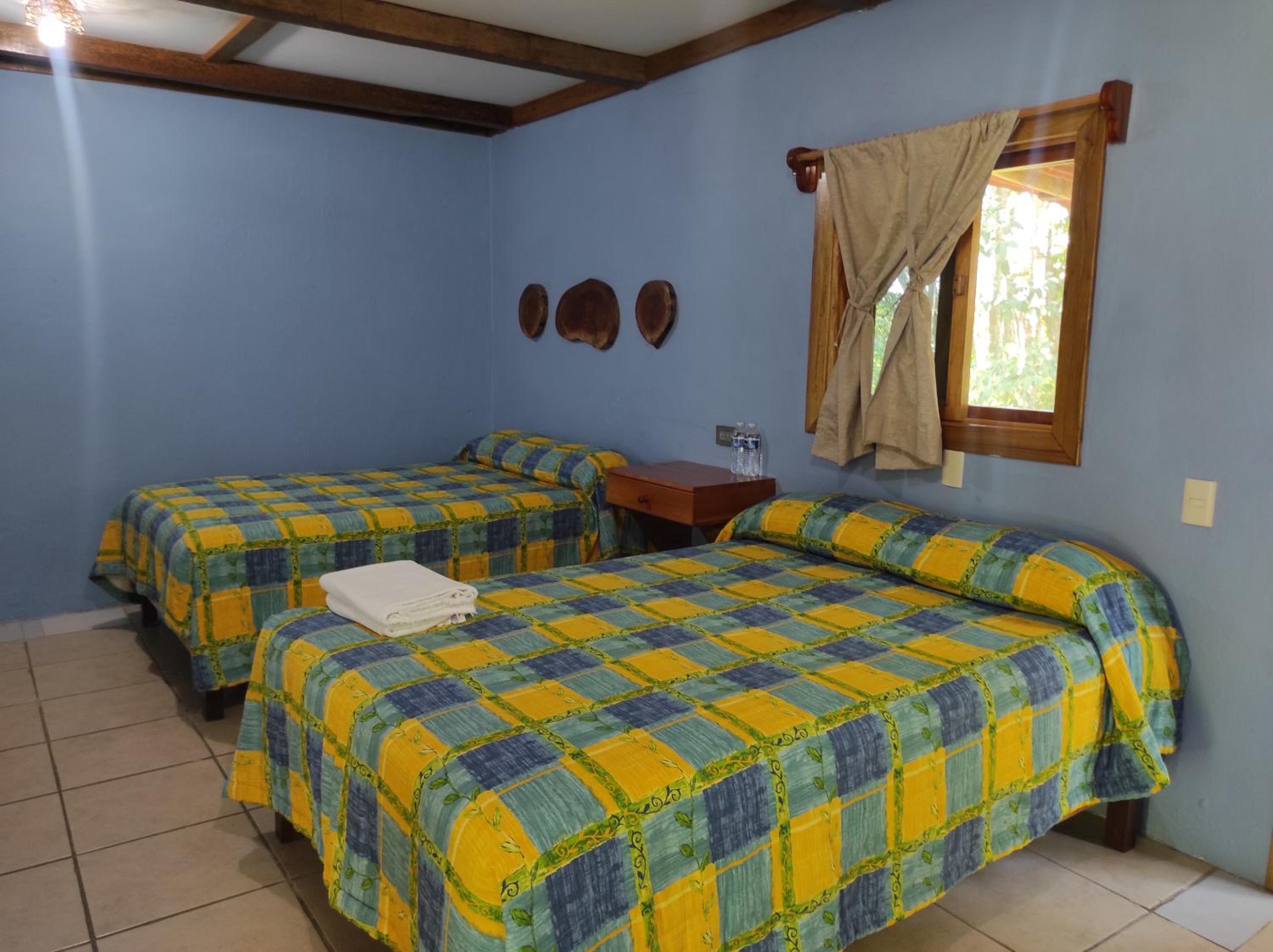 Standard Double or Twin Room - Photo 1