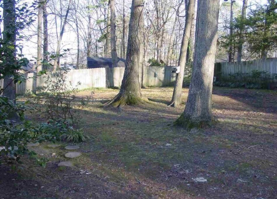 Three-Bedroom House photo 3