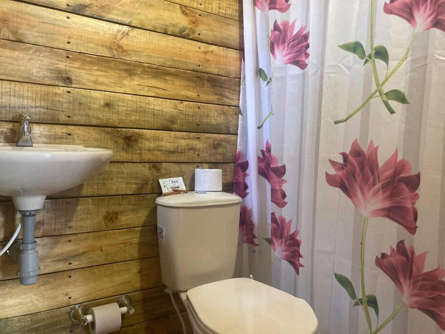 One-Bedroom House photo 2